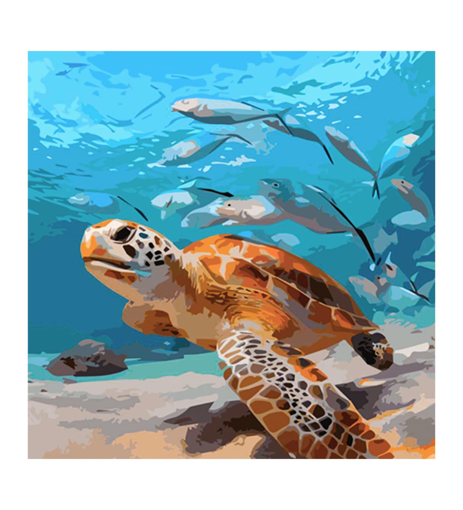 Sea Turtle Paint by Number Kit - 16x16 Inch | Adult & Beginner Art Set for Home Decor | Perfect Gift Option - Buy Online on GoSupps.com