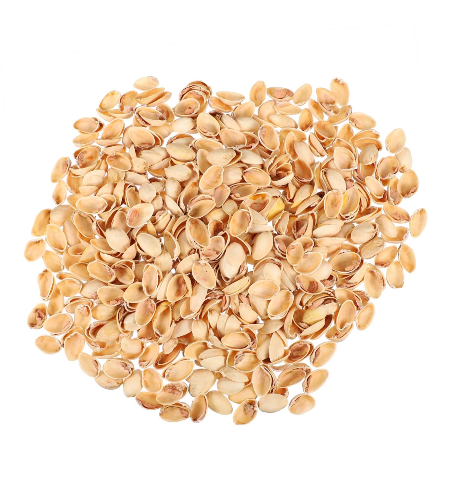 NUOBESTY 1 Pistachio Shell Kids Diy Craft Charms Turkish Diy Craft Accessories Nut Art Supplies Child - Buy Online on GoSupps.com