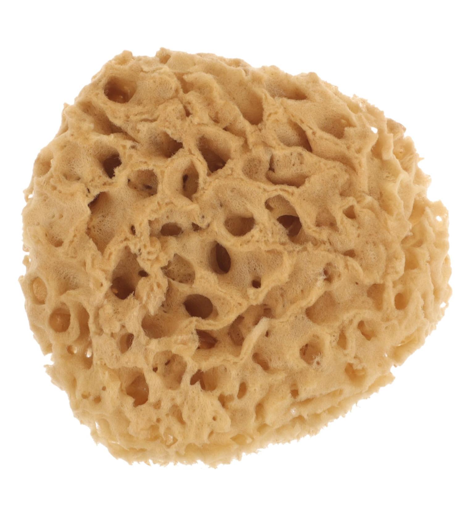 FRCOLOR Bath Shower Sponge - Exfoliating Back Scrubber & Bath Ball for Deep Skin Cleaning | International Shipping Available - Buy Online on GoSupps.com