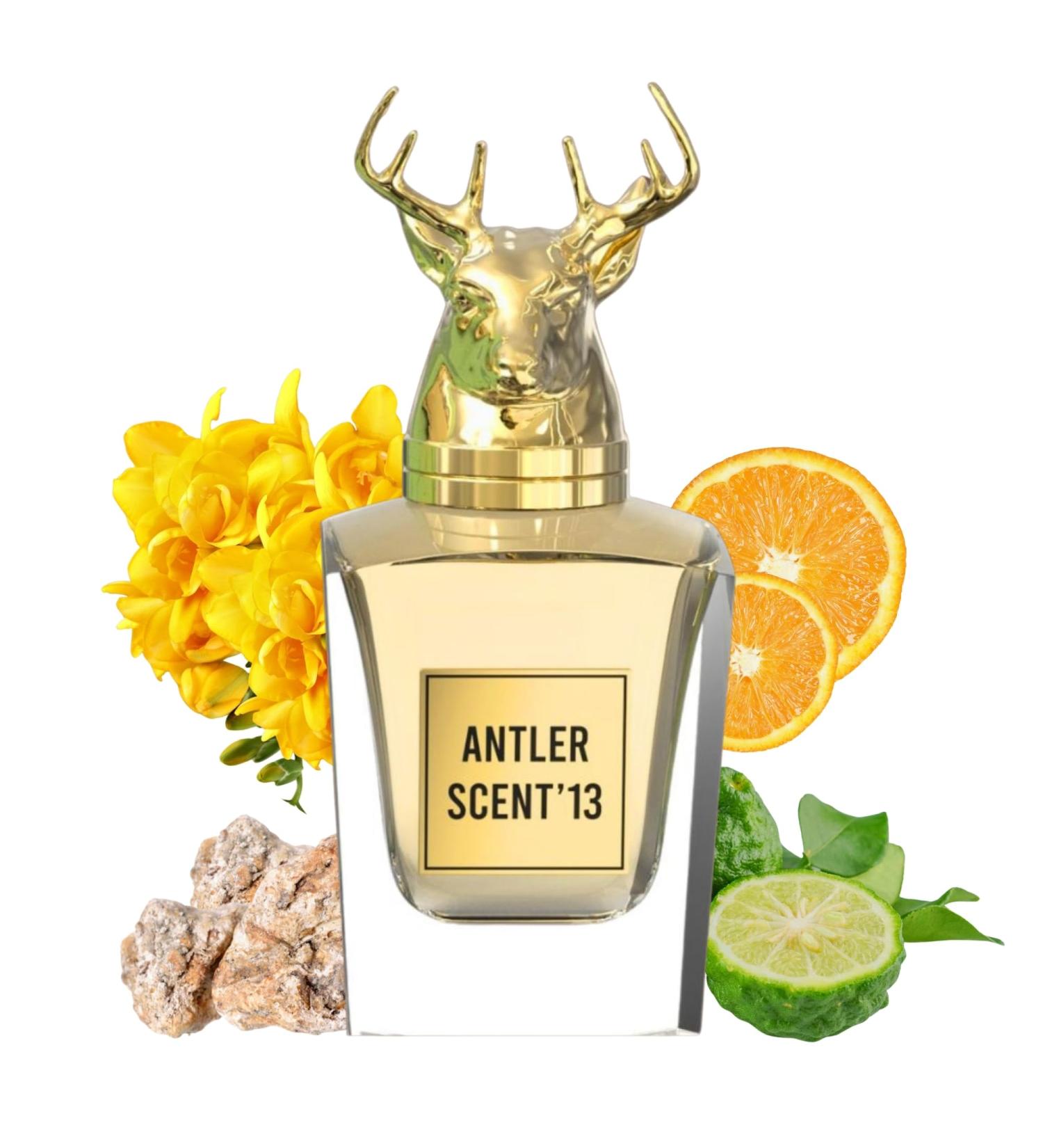 Antler Scent'13 - Luxurious Arabian Perfume for Women | Chypre Floral Scent | Alcohol Free & Long Lasting Parfum 3.4 Fl. Oz. - Buy Online on GoSupps.com