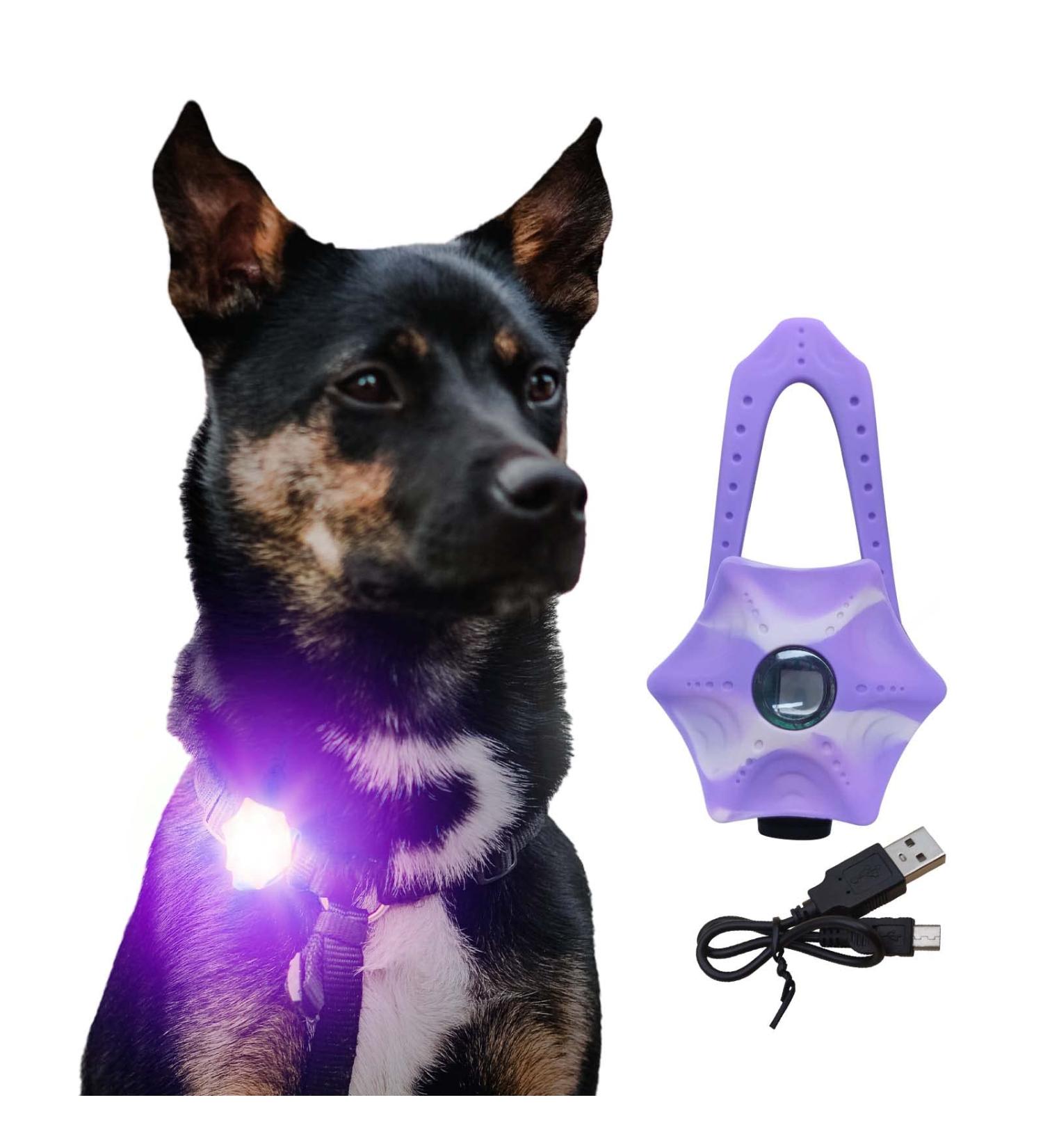 LaRoo Safety LED-Flashing Light for Dogs Cats LED-Light Pendant Keyring Clip on Dog Collar Charms Blinker Light Waterproof Safety Light for Walking the Dog and Outdoor Sports rechargable Purple-1 - Buy Online on GoSupps.com