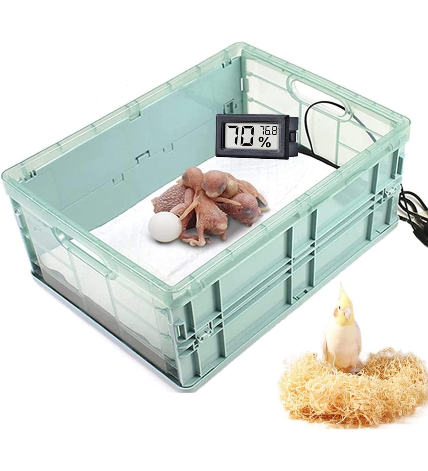 2 Gallon Manual Incubator for Birds, Parrots, and Small Animals with Thermostat - Ideal for Breeding, Hatching Bird Eggs, and keeping Babies Warm - Buy Online on GoSupps.com