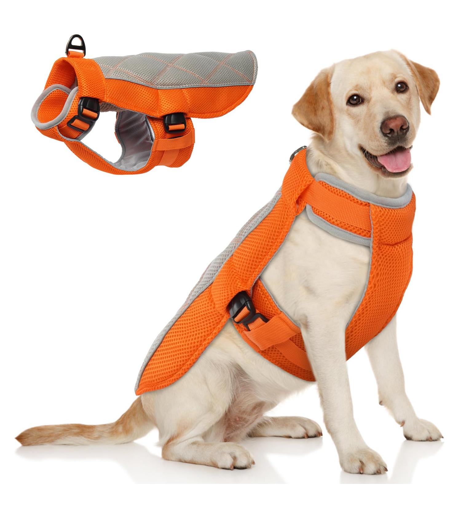 Buy Hjumarayan Cooling Vest for Dogs - Breathable Summer Coat with D-Rings (XL Orange) - Perfect for Hot Days | International Shipping - Buy Online on GoSupps.com
