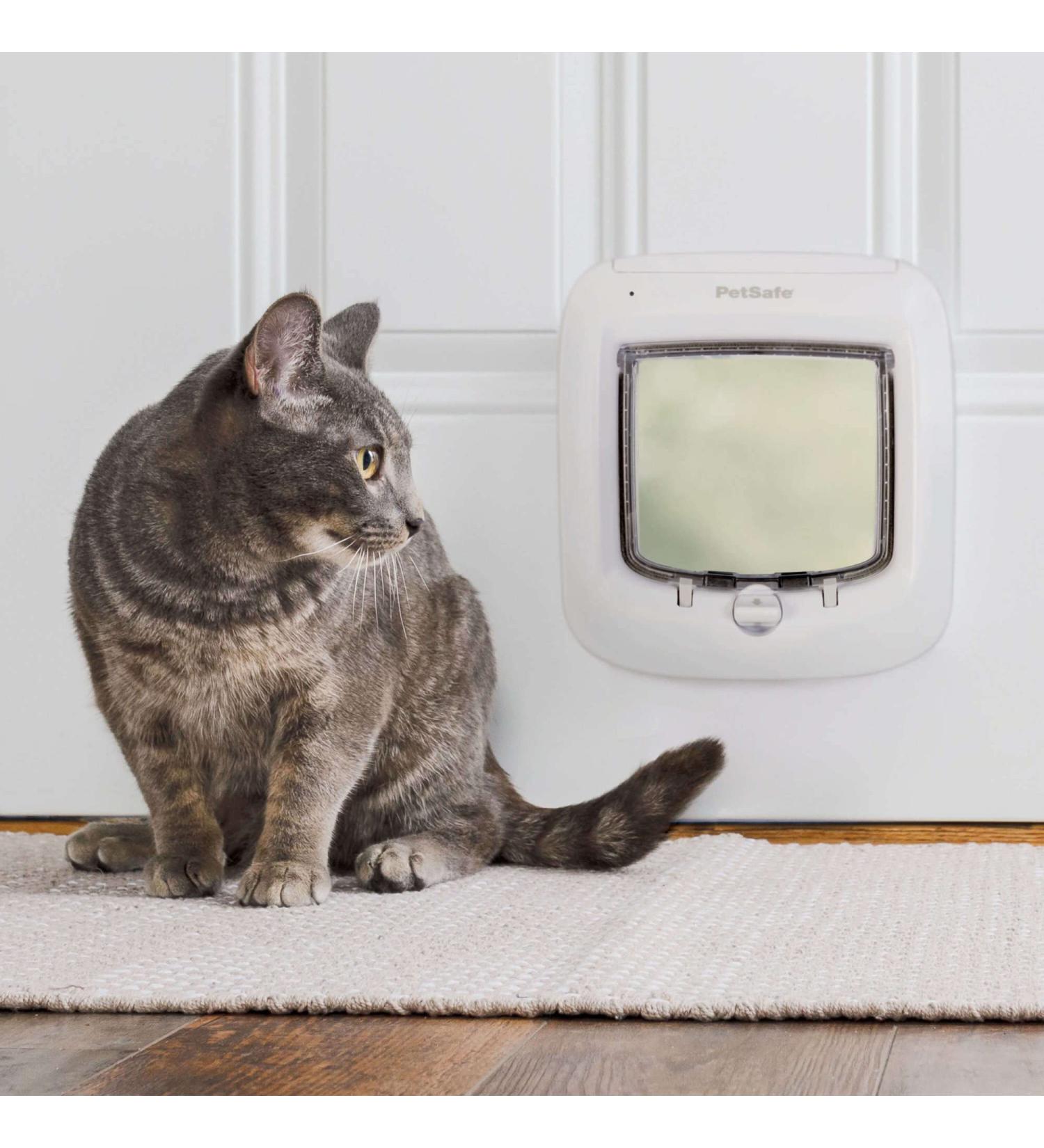 PetSafe Microchip Cat Door - Exterior/Interior Multi-User RFID Access for Up to 40 Pets - 4-Way Locking, Weatherproof, Easy Install - Ideal for Cat Litter Box or Pet Feeder - Buy Online on GoSupps.com