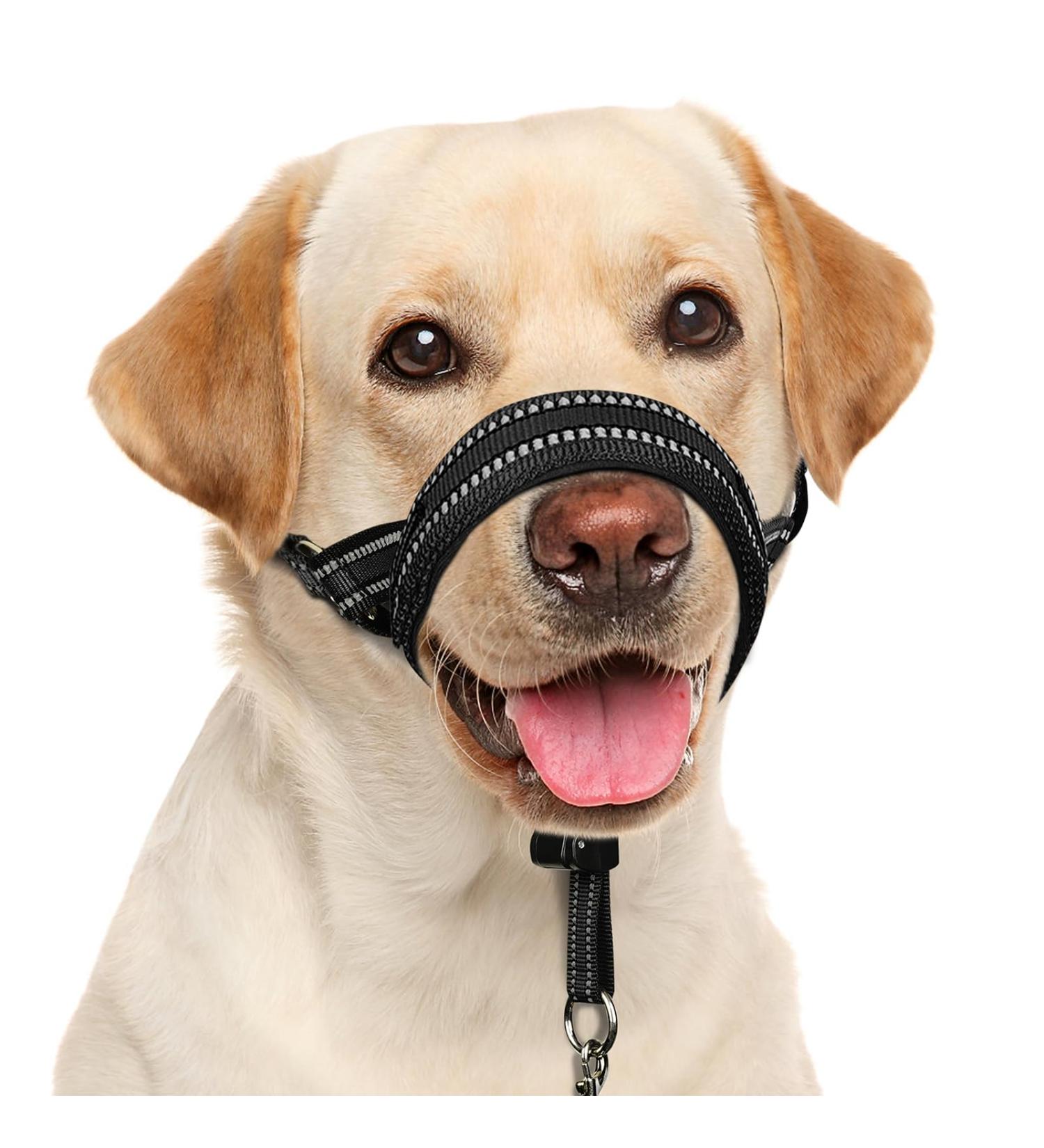 Shop Barkeless Soft Dog Collar - Padded No Pull Muzzle for Training - Adjustable for Medium & Large Dogs (Snout 9.5-14) - Buy Online on GoSupps.com