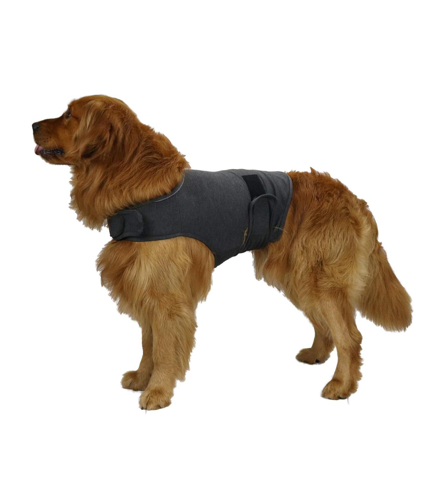 Kittystar Breathable Thunder Shirt for Dogs - Gray L | Calming Coat & Fear Relief Jacket for Puppies - Buy Online on GoSupps.com