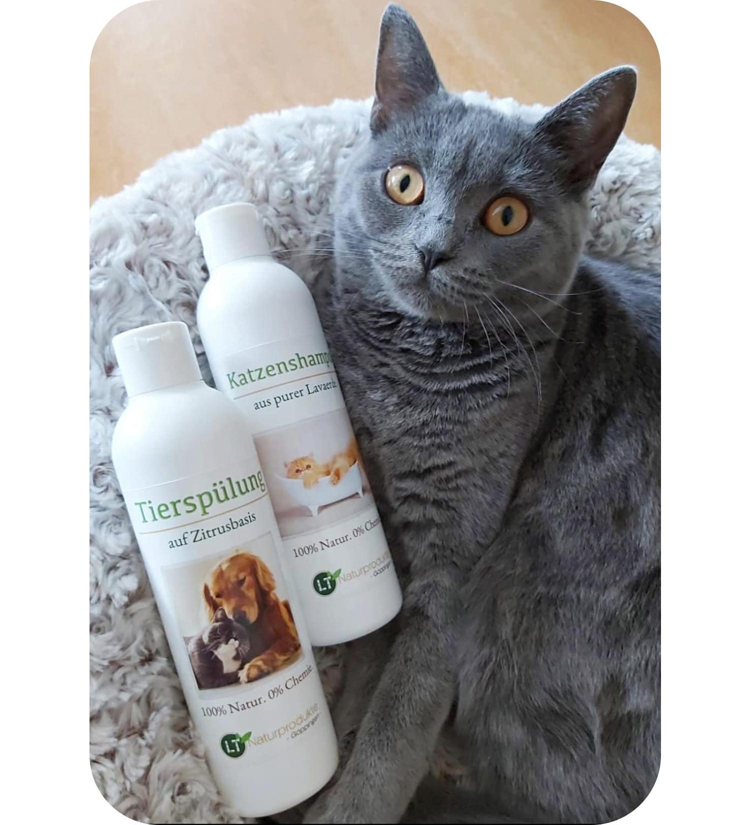 Buy Chemical-Free Cat Care Set | Gentle Shampoo & Flushing | Hypoallergenic Fur Care | Against Itching | Moroccan Lavaerde | 2x250ml for Short & Long Fur - Buy Online on GoSupps.com