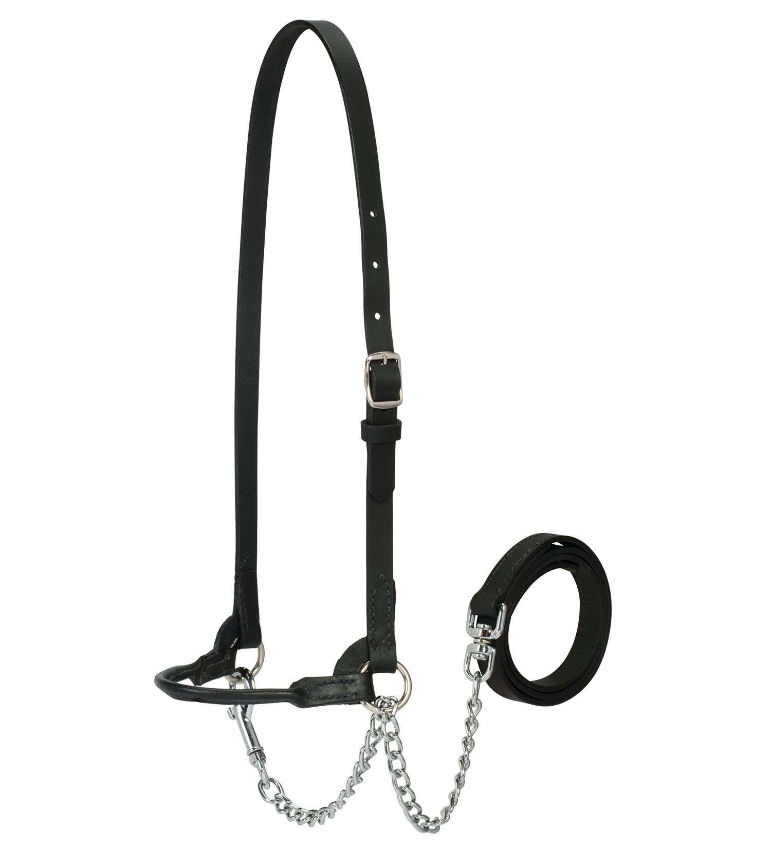 Weaver Leather Livestock Dairy Halter Black Small