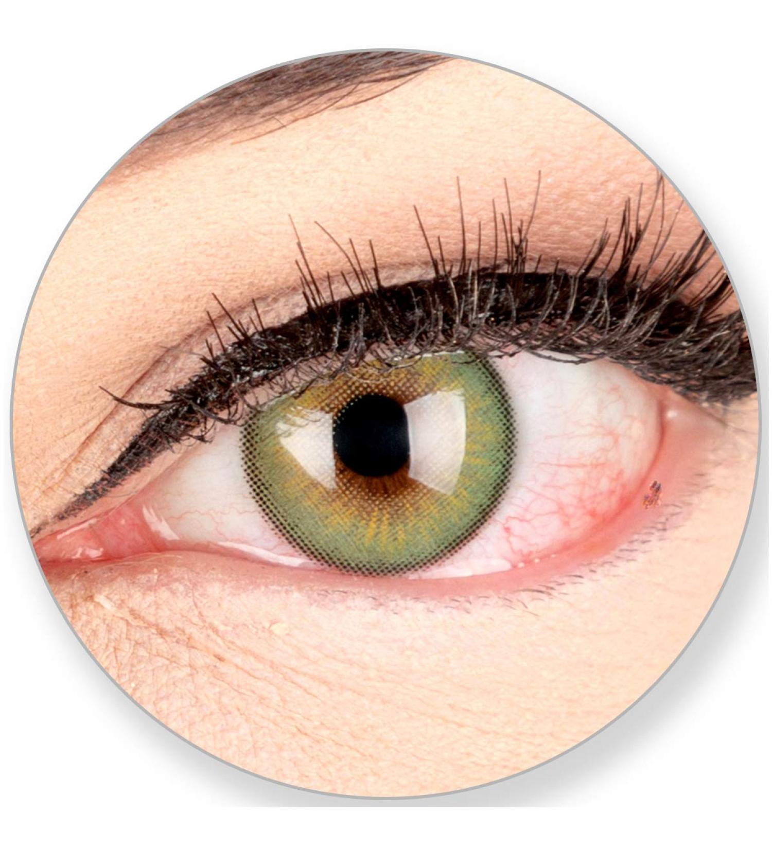 Buy GlamLens Elly Emerald Soft Green Contact Lenses - 3-Month Wear for Dark Eyes | 0.0 Diopters by Meralens - Buy Online on GoSupps.com