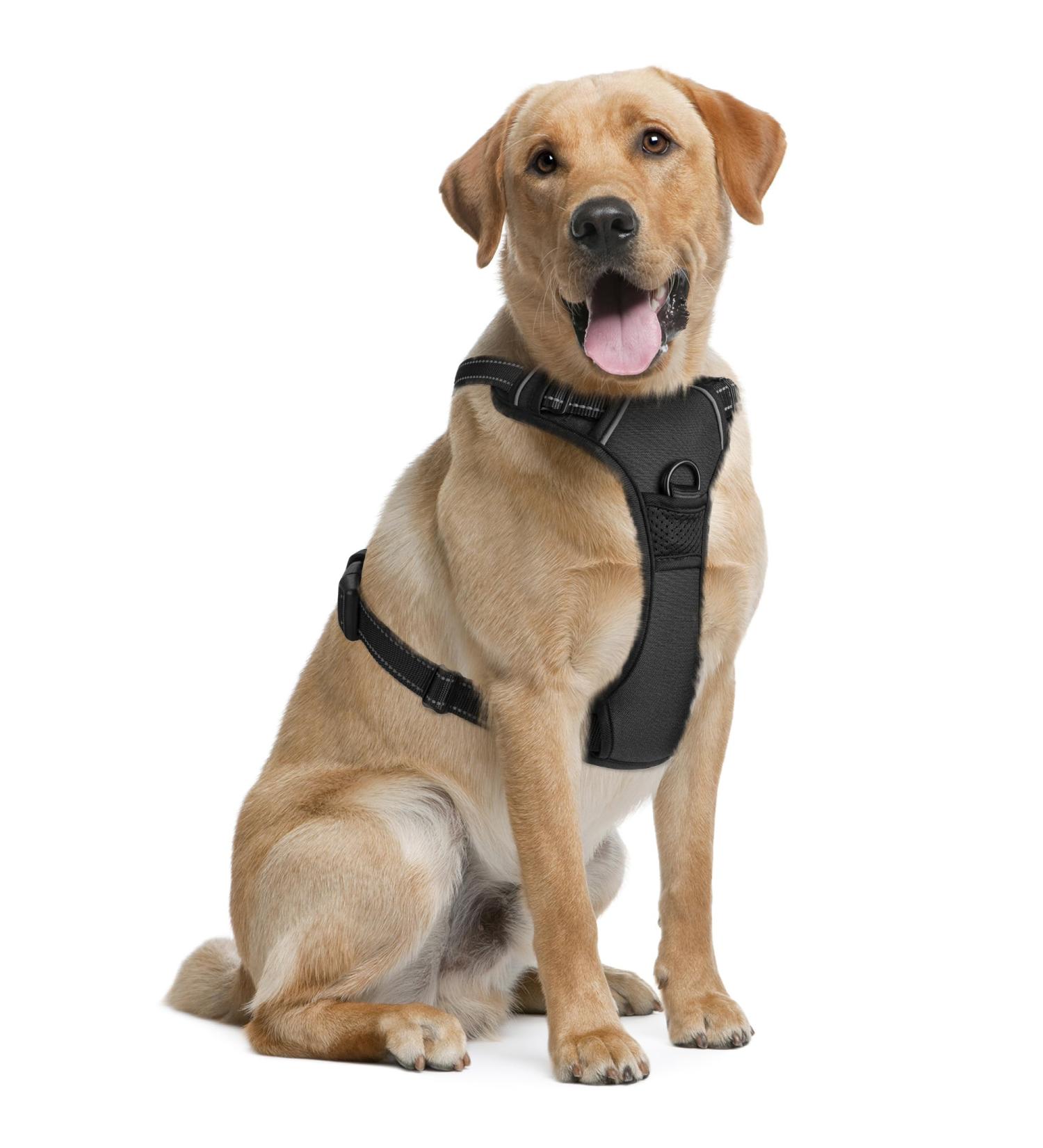 Dog Harness (Medium Black) for Running Hiking & Training Soft-Padded & Adjustable No-Pull Design Pet Harness W/ 2 Leash Clips & Reflective Strips for Safety by EcoEarth M (Pack of 1) - Buy Online on GoSupps.com