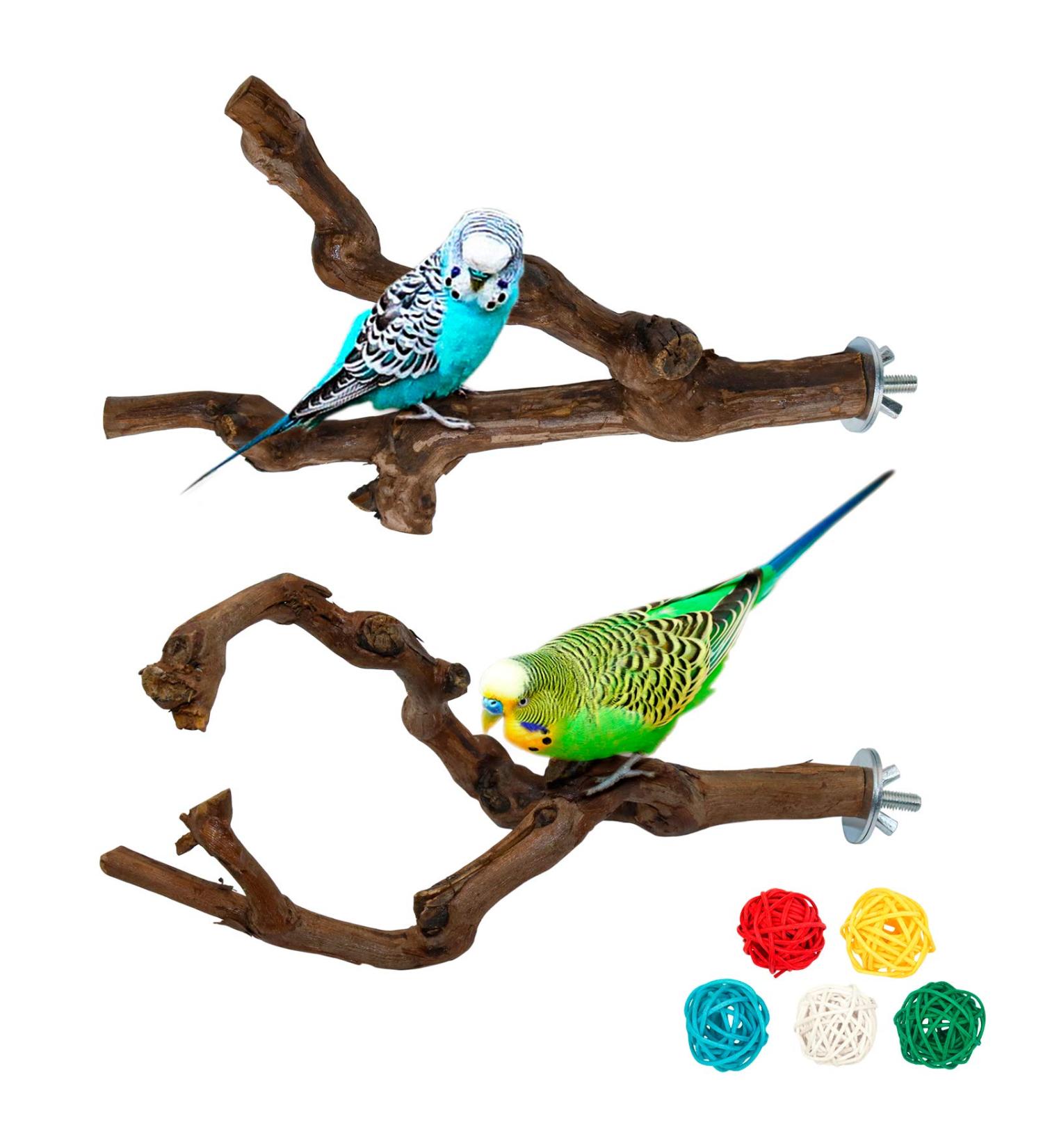 Natural Bird Accessories Set - 2 pcs Grape Wood Climbing Rods for Budgies Canaries & Nymphs - Ideal for Bird Cages - Buy Online on GoSupps.com
