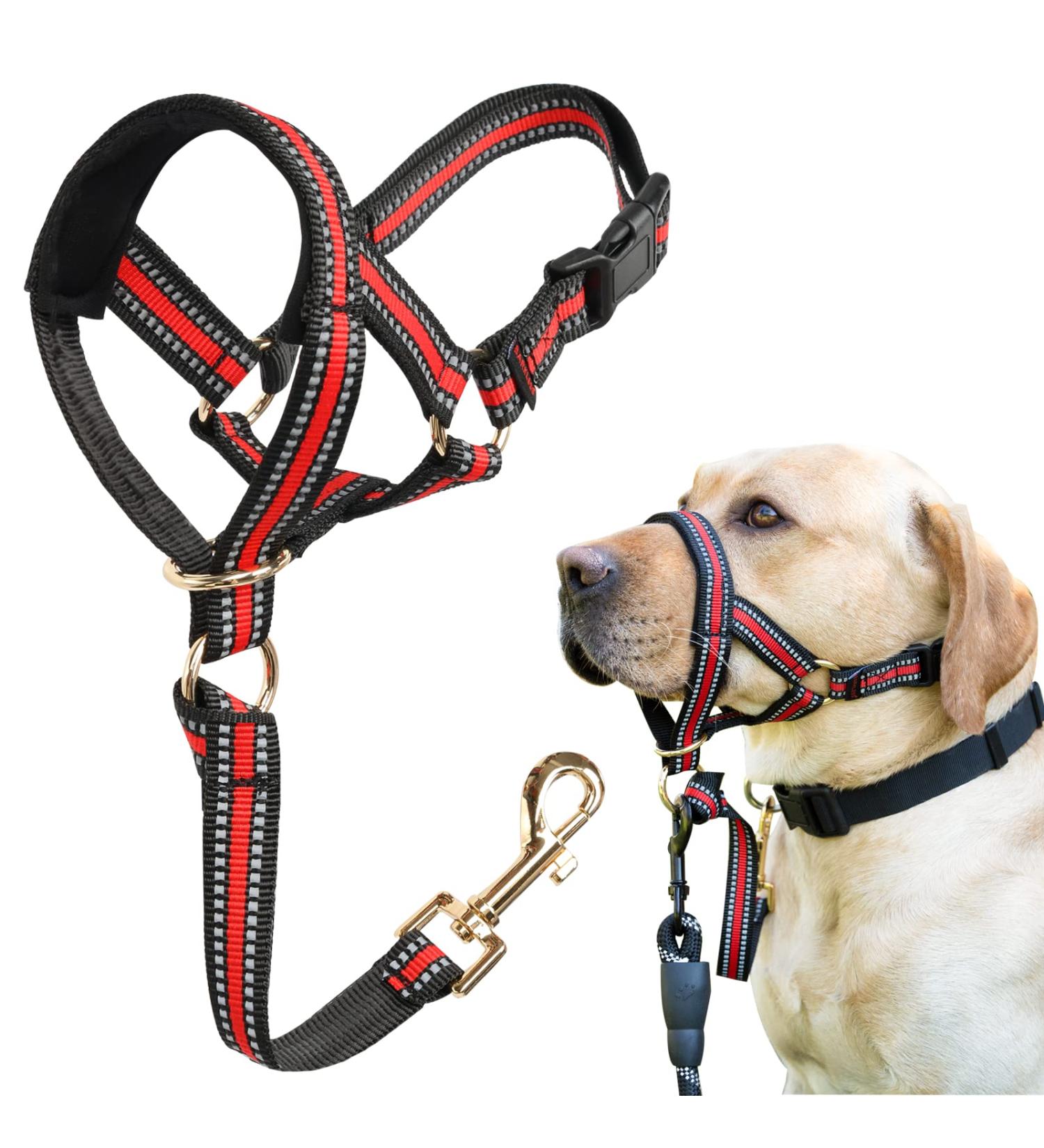 Maulkorbline for Heavy Pullers - Stylish No Pull Head Halter for Medium & Large Aggressive Dogs - Gentle & Comfortable XL Fit (9.4-15.7) - Red - Buy Online on GoSupps.com