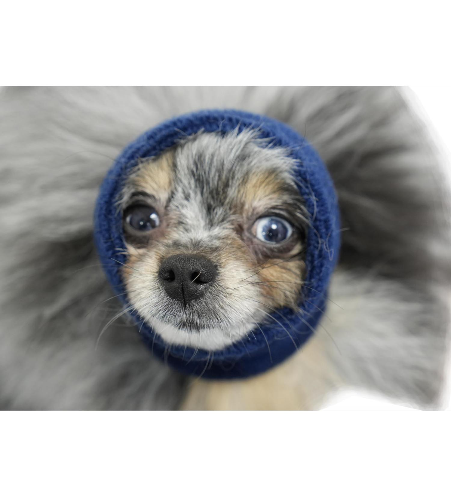 Happy Hoodie | Original Calming Aid for Dogs & Cats - Noise Suppression & Strength Drying - X-Small Blue - Buy Online on GoSupps.com