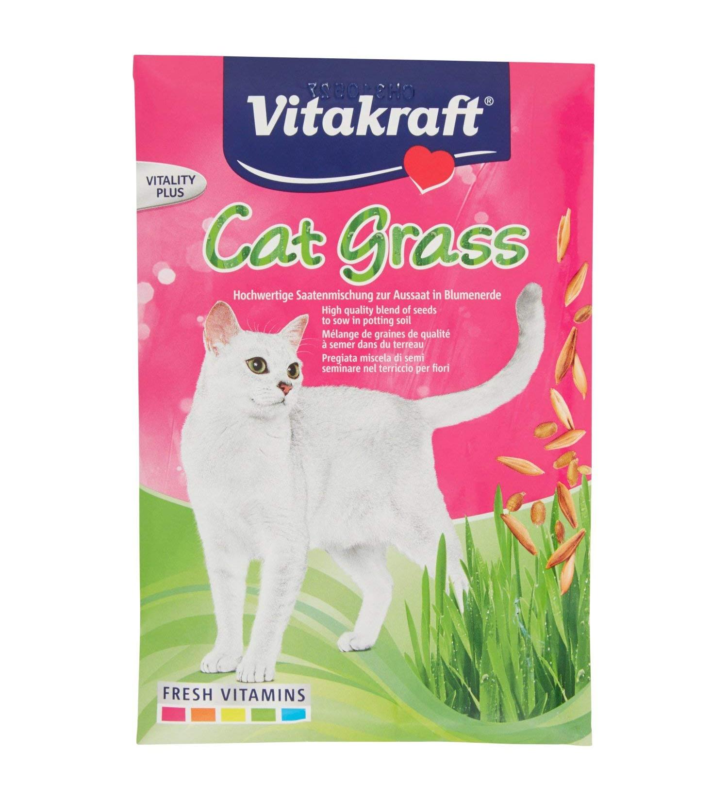 Buy Vitakraft Cat Grass for Sowing | 50g Potting Soil Kit - Premium Cat Grass for Healthy Cats - Buy Online on GoSupps.com