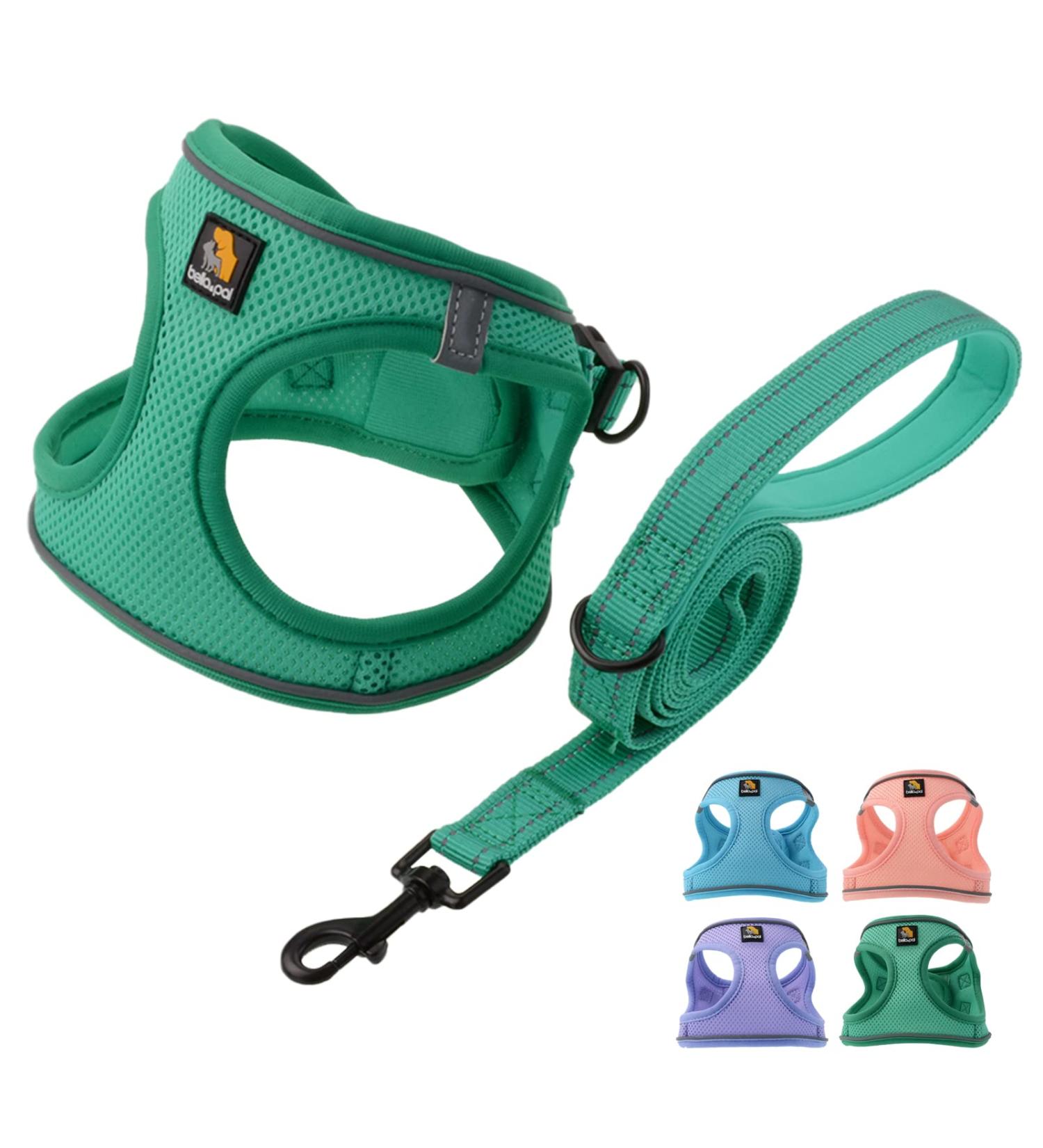 Buy Bella & Pal Dog Harness for Small Dogs - Reflective Breathable Air Mesh with Leash | Step-In Dishes - Cat & Puppy Dishes - Emerald (35-40cm) - Buy Online on GoSupps.com