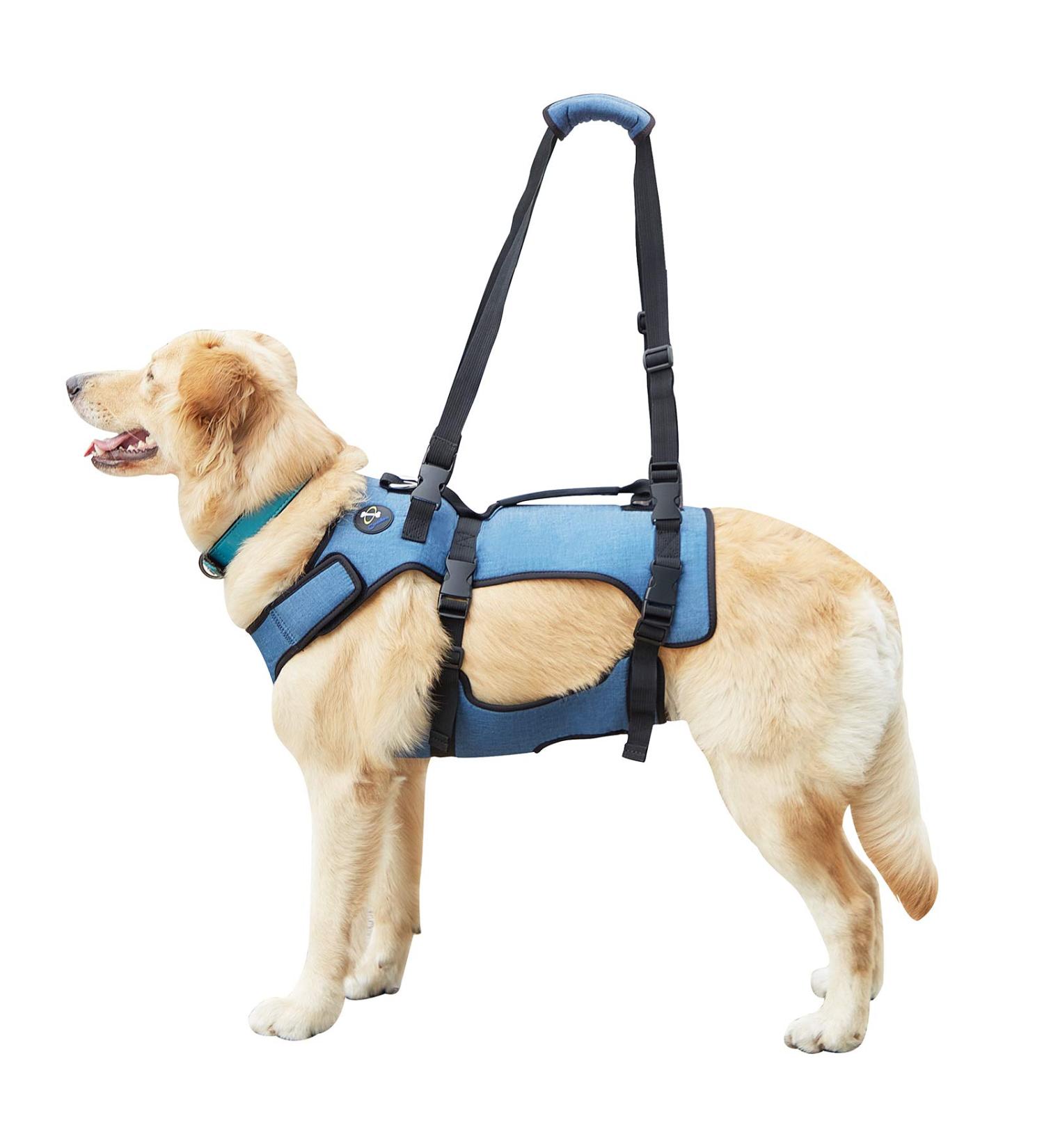 COODEO Dog Lifting Harness - Adjustable Breathable Support for Rehabilitation | Ideal for Old & Disabled Pets - Blue - International Shipping - Buy Online on GoSupps.com