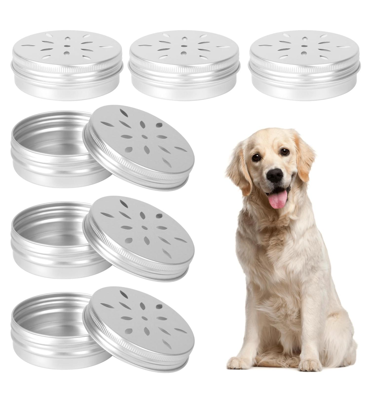 KALIONE 6 Packs Dog Scent Work Tins Scent Training Box for Dogs Small Dog Food Container Agility Training Equipment for Dogs Dog Scent Training Tools Kit Aluminum Containers for Dog Nose Training - Buy Online on GoSupps.com