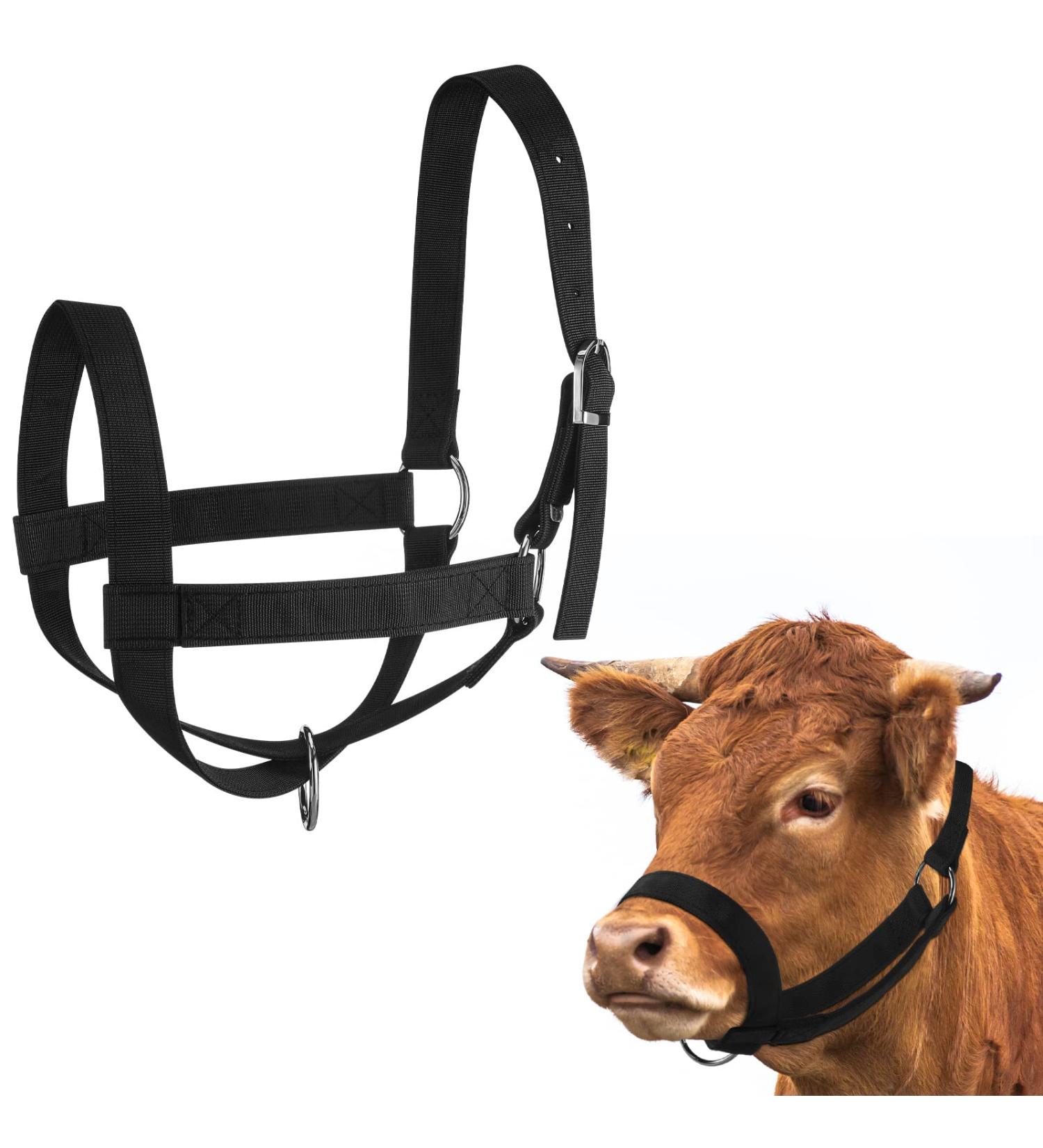 Nylon Livestock Cattle Keepers - Adjustable Chin & Throat Snap Holder for Horses Cows & Calves | Heiber Outdoors Training Accessories - Black - Buy Online on GoSupps.com