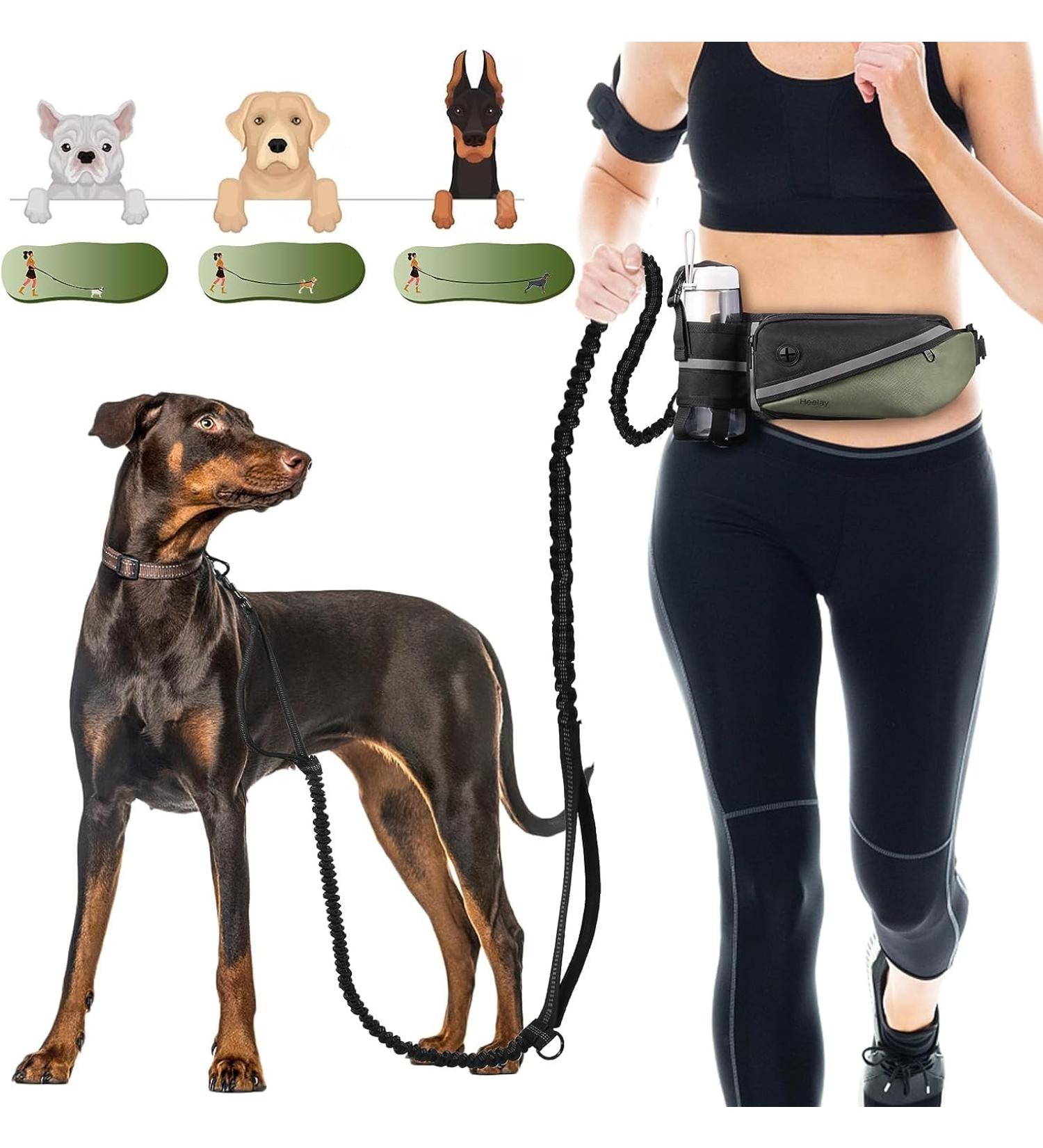 Premium Dog Jogging Lines & Heelay Belt - Reflective Leash for Large & Small Dogs - Comfortable Dual Handle Design in Army Green - Buy Online on GoSupps.com
