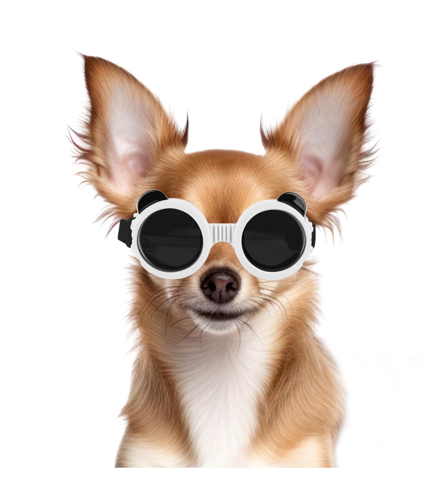 Namsan Dog Glasses for Small Dogs - UV Protected Round Frame Sunglasses for Wind Protection - White - Buy Online on GoSupps.com