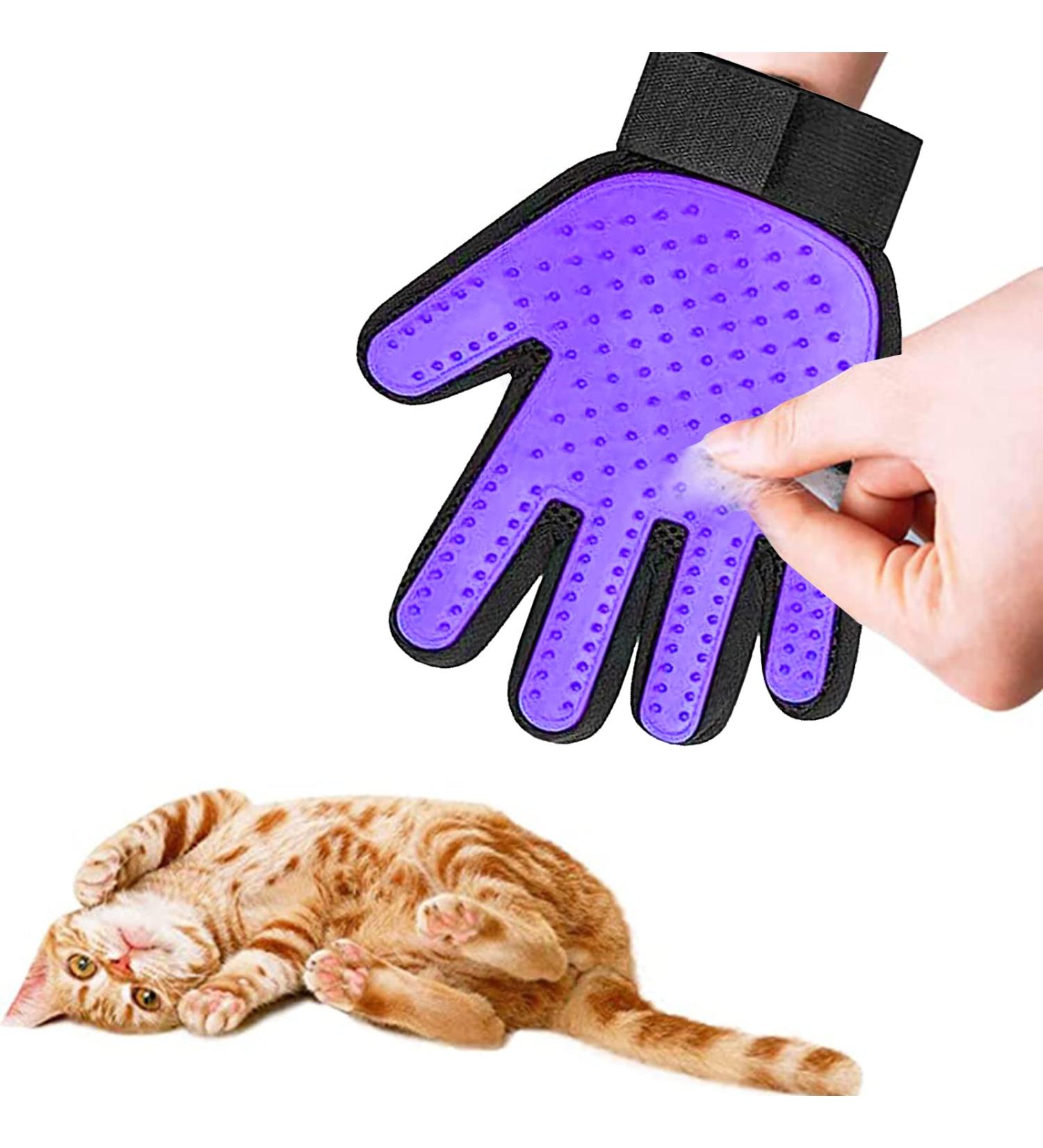 Cat Gloves & Brushes for Feline Care | Silicone Washing Glove for Cats & Dogs - Purple & Violet - Buy Online on GoSupps.com