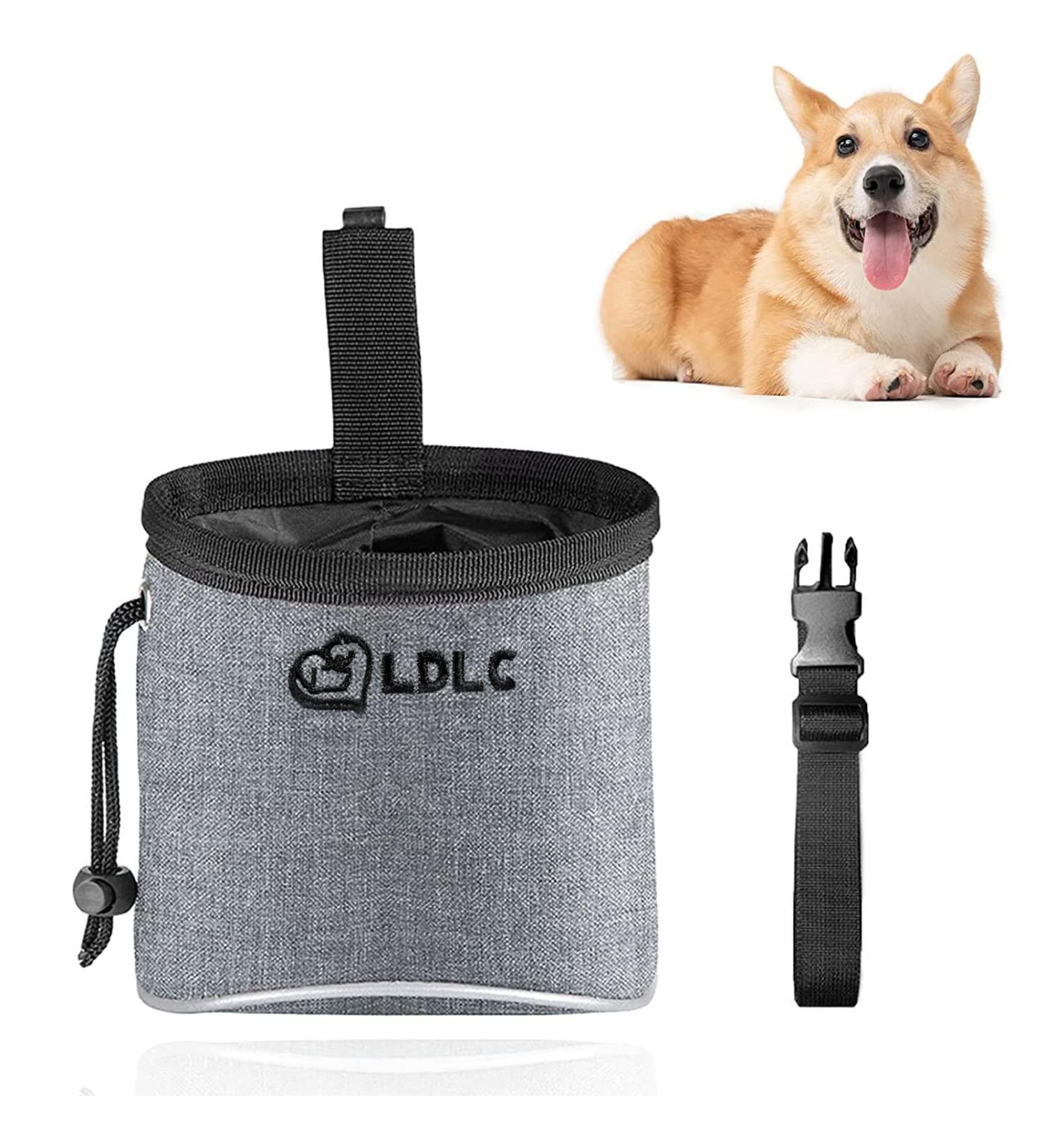 Waterproof Dog Treat Bag - Adjustable Waist Belt, Hand-Free Walking Pouch for Training & Travel (Grey) - Buy Online on GoSupps.com