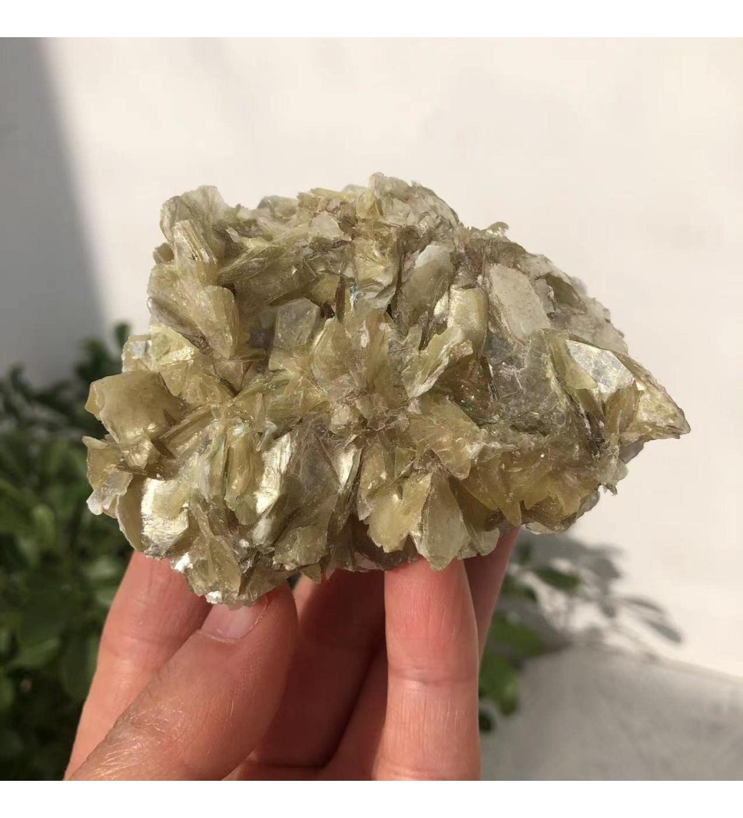 Natural Phlogopite Flake Raw Specimen Stone Natural Decoration Ornaments Collectible Gifts Can be Used for (Size : 320-400g) JZIGTDEM (Size : 100-150g) - Buy Online on GoSupps.com