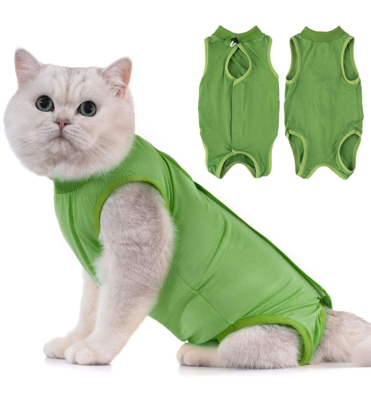 Avont Katzenbody Recovery Suit for Cats | Leak Protection Spay & Surgery Healing | Modal Clothing - Green L - Buy Online on GoSupps.com