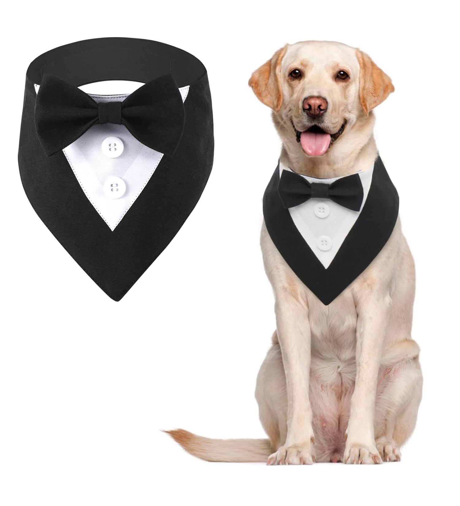Buy Maustlie Dogs Smoking Bandana | Adjustable Headscarf for Weddings & Parties | Stylish Pet Triangle Scarf in Black (L) - Buy Online on GoSupps.com