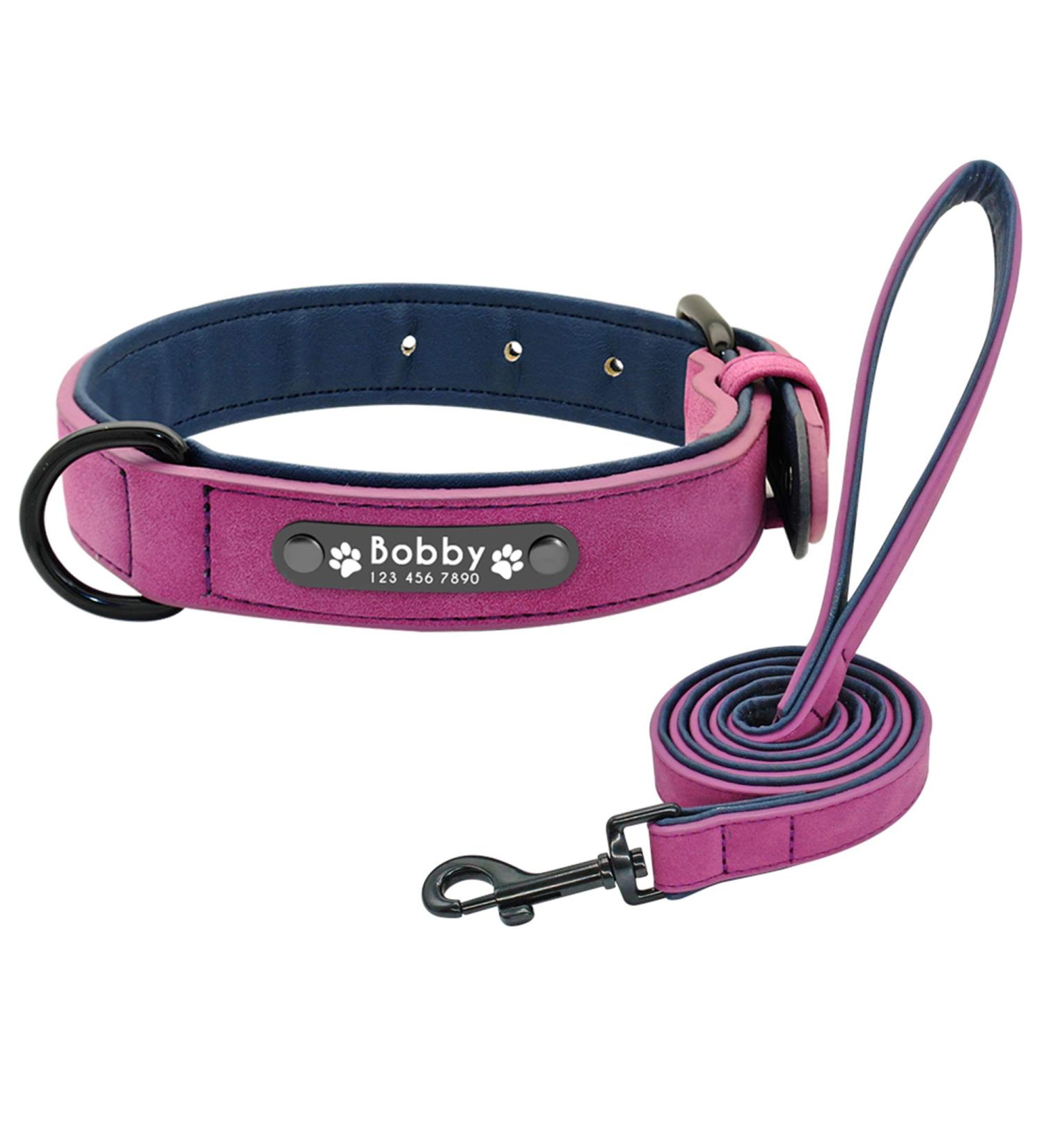 Didog Soft Padded Leather Dog Collar with Engraved Name Tag - Personalizable for Small & Medium Dogs - M 27-33 cm Purple - Buy Online on GoSupps.com