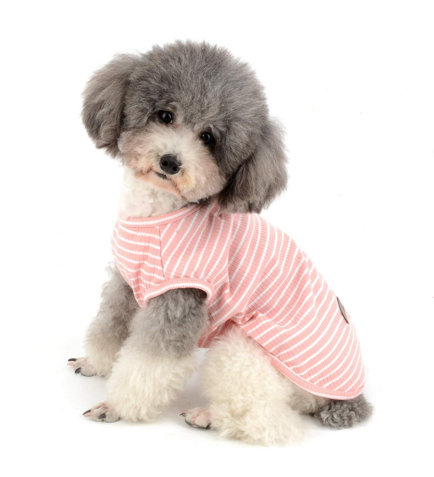 Buy Zunea Striped Dog Shirt for Small Dogs & Cats | Soft Cotton Cool Vest - Summer Tank Top - Pink L for Chihuahua & Pets - Buy Online on GoSupps.com