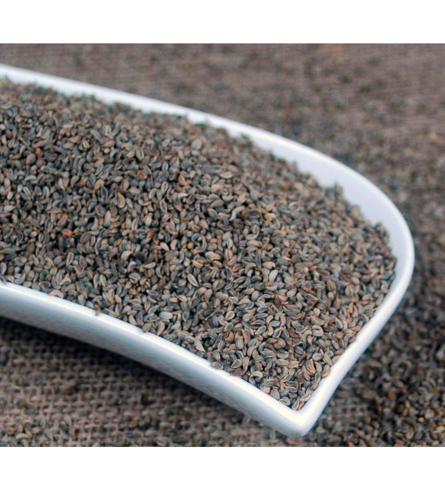 Krauterino24 Krauterino24 - Whole parsley seeds quantity: 1000 g