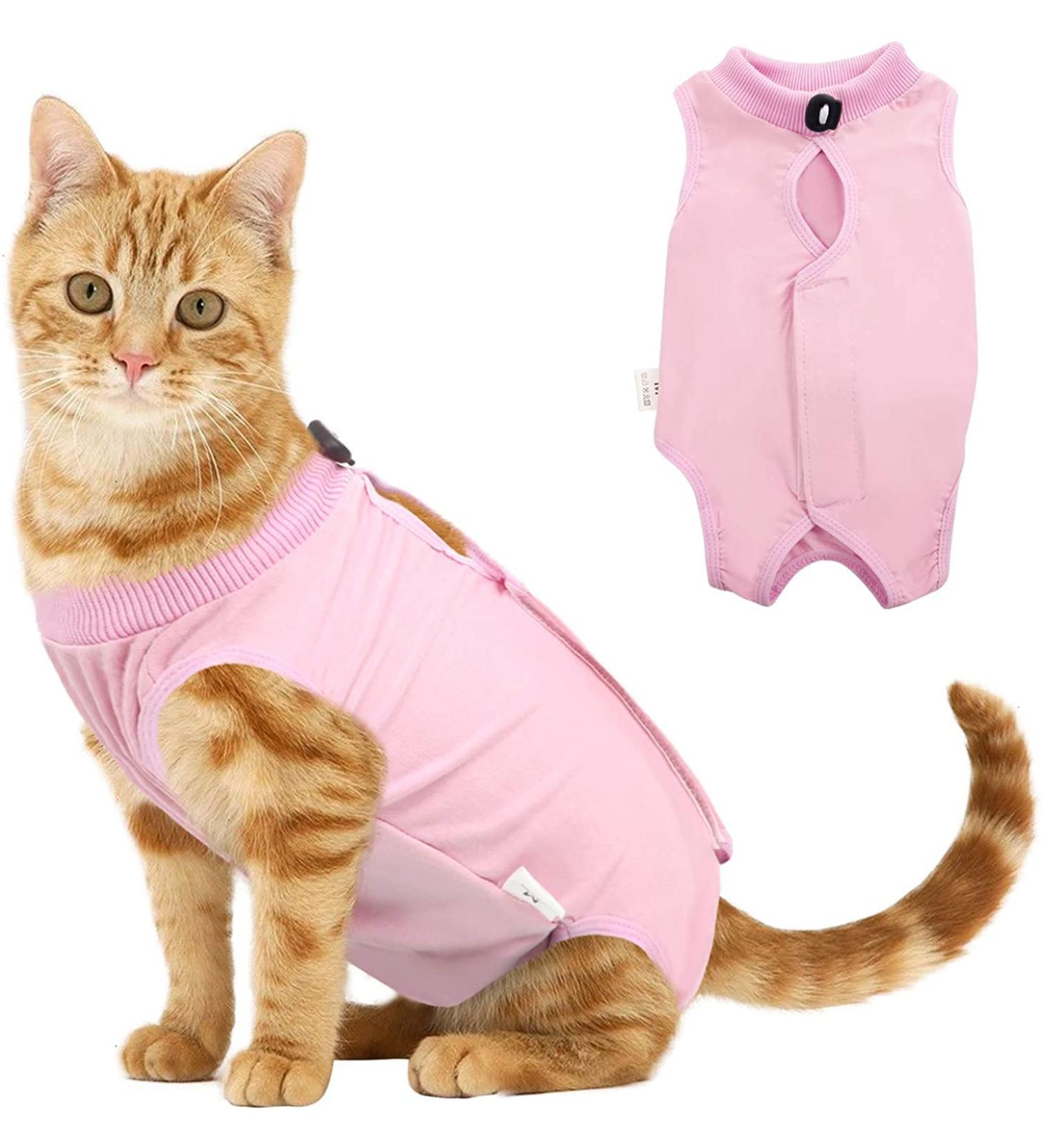 Voarge Recovery Suit for Cats - Post-Op Anti-Licking & Warmth Size M Pink - Ideal for Healing After Surgery - Buy Online on GoSupps.com