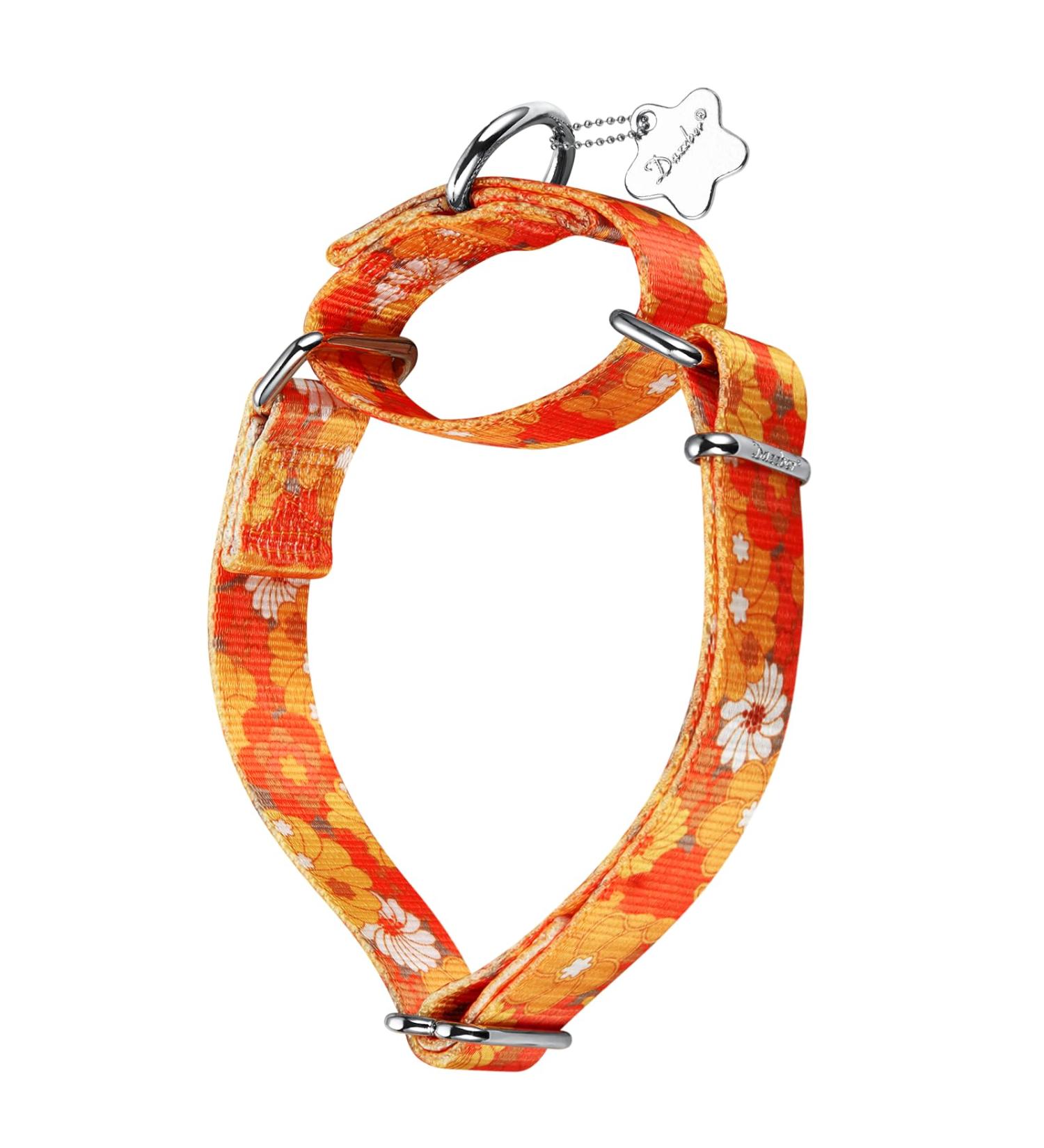 Dazzber Martingale Dog Collar for Medium & Large Dogs | No Pull Hard-Wearing Soft & Unique Daisy Pattern - Buy Online on GoSupps.com