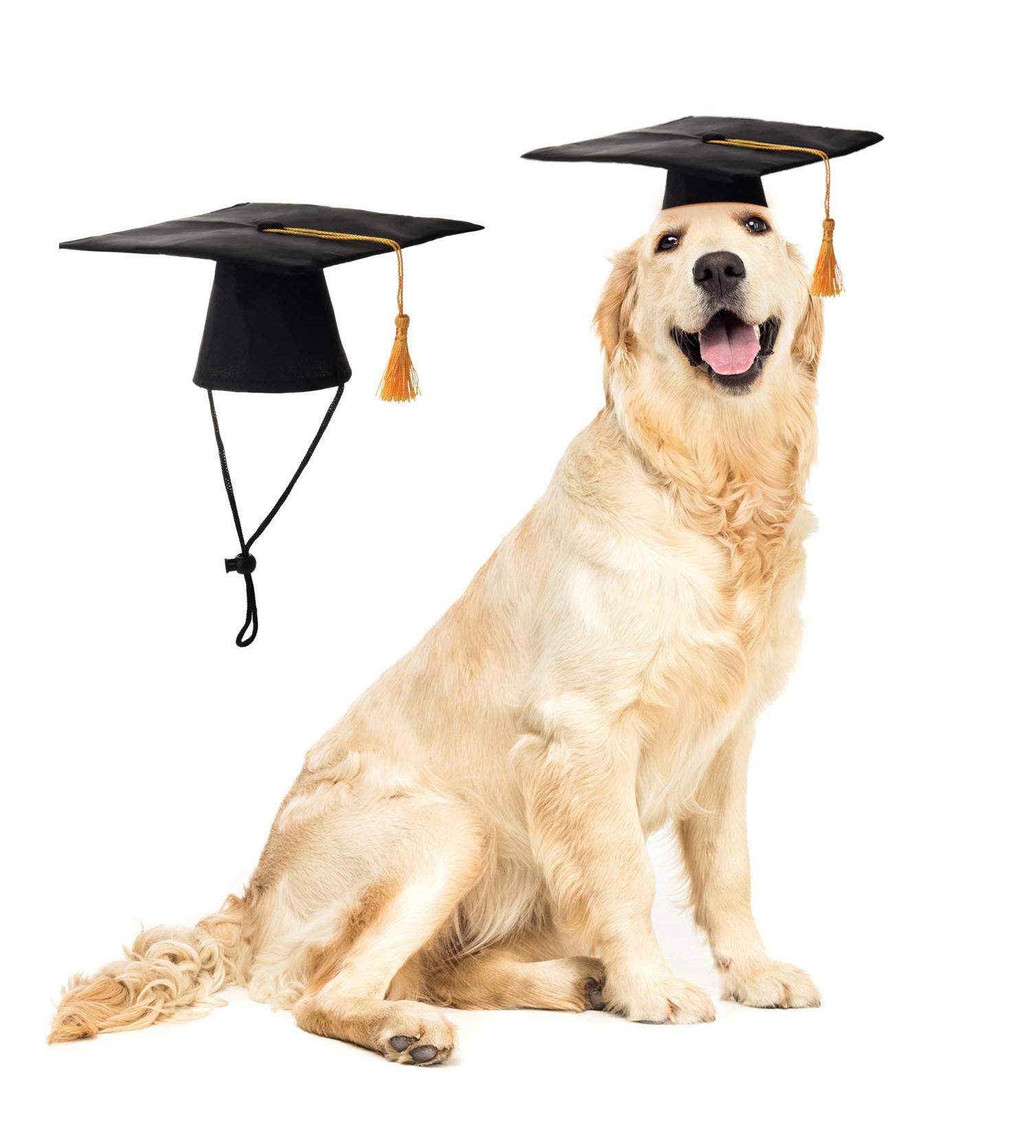 Pet Graduation Caps with Yellow Tassel - Small Dog & Cat Holiday Costume Accessory - Buy Online on GoSupps.com