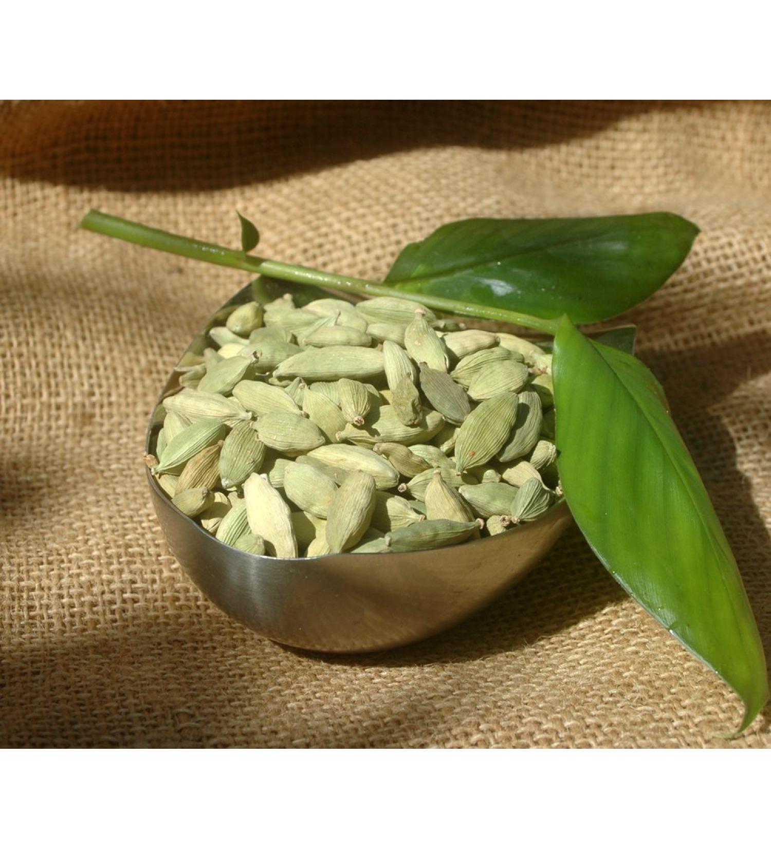 Naturix24 Naturix24 Green Cardamom 1st Choice - Bag of 100g