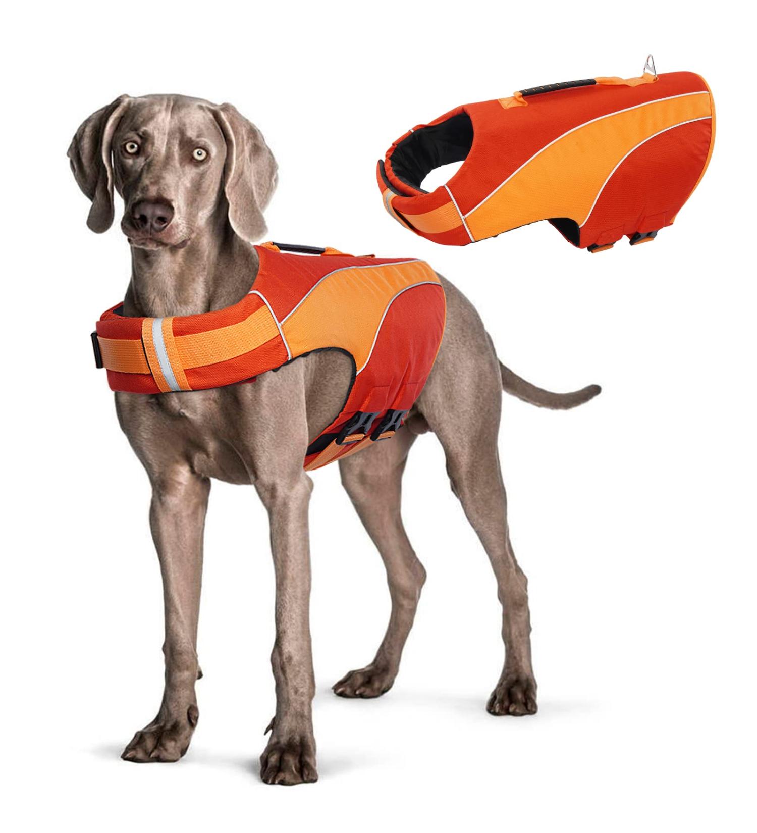 Shop Hjyokuso Dog Life Jacket - Adjustable Reflective Swimming Aid for Dogs | Buoyant & Durable - Perfect for Boating Canoeing & Swimming (Red M) - Buy Online on GoSupps.com