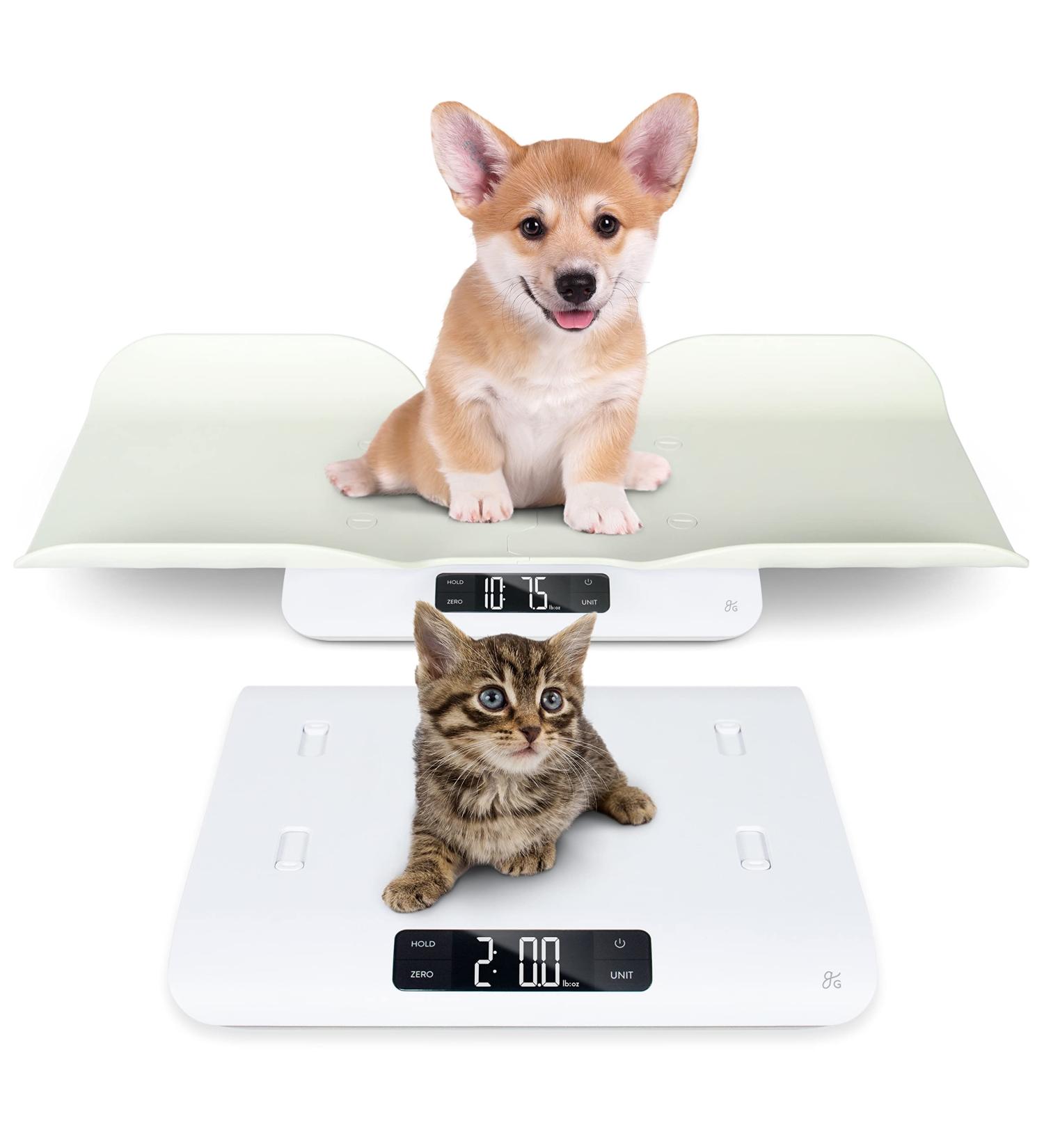Greater Goods Digital Pet Scale - Accurate Weighing for Kittens, Rabbits & Puppies | Wiggle-Proof Design | Made in St. Louis - Buy Online on GoSupps.com