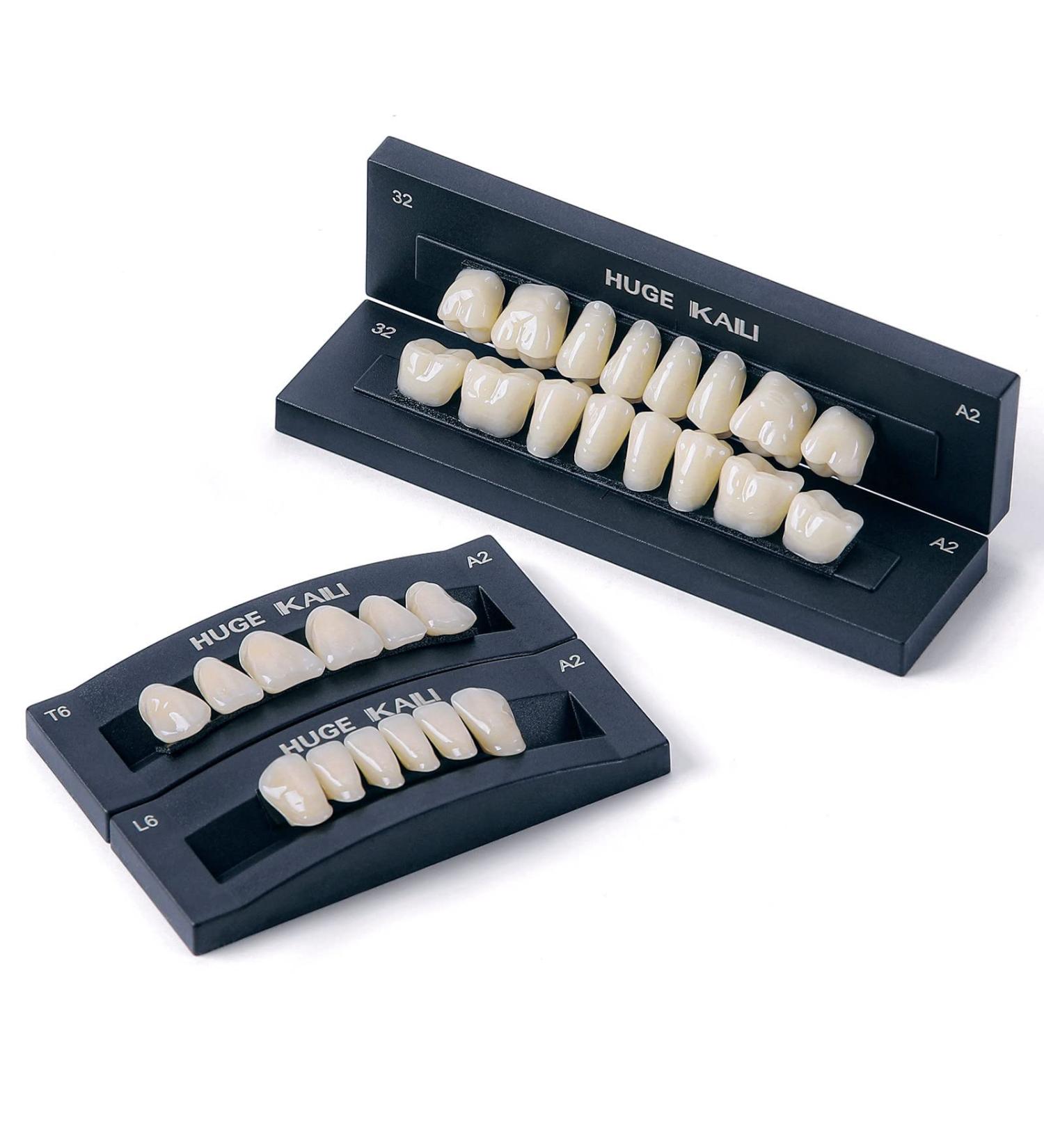 Dental Acrylic Resin Denture False Teeth Set | A2 T6 Synthetic Polymer Resin | Halloween DIY | 28 Pcs - Buy Online on GoSupps.com