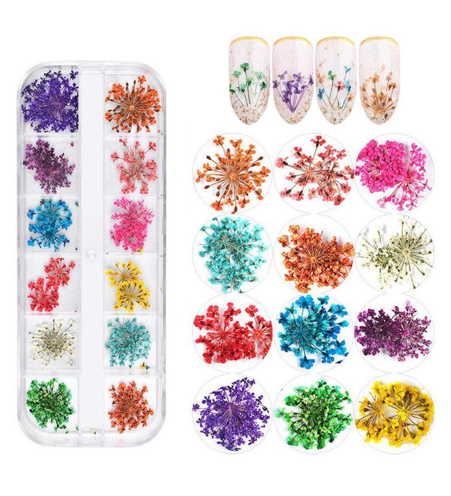 Kingmas 12 Colors Dried Flowers Nail Art Supplies - Mini Real Natural 3D Applique Decoration Sticker - Buy Online on GoSupps.com