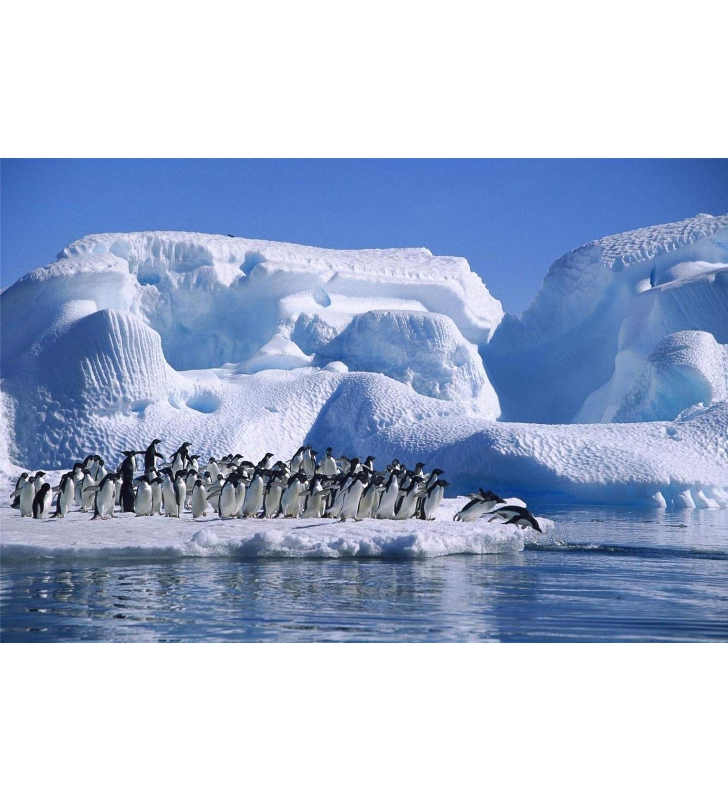 CELLULIX SOLARE 150ml SPF 30 sunscreen with medium sun protection. Helps fight cellulite blemishes by firming and hydrating the skin of the body - Buy Online on GoSupps.com