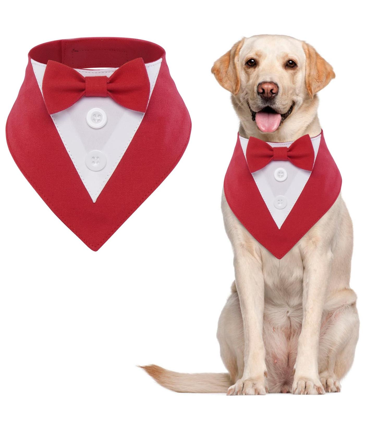Stylish Maustlie Dog Smoking Bandana - Adjustable Triangle Scarf for Weddings & Birthdays (Large Red) - Buy Online on GoSupps.com