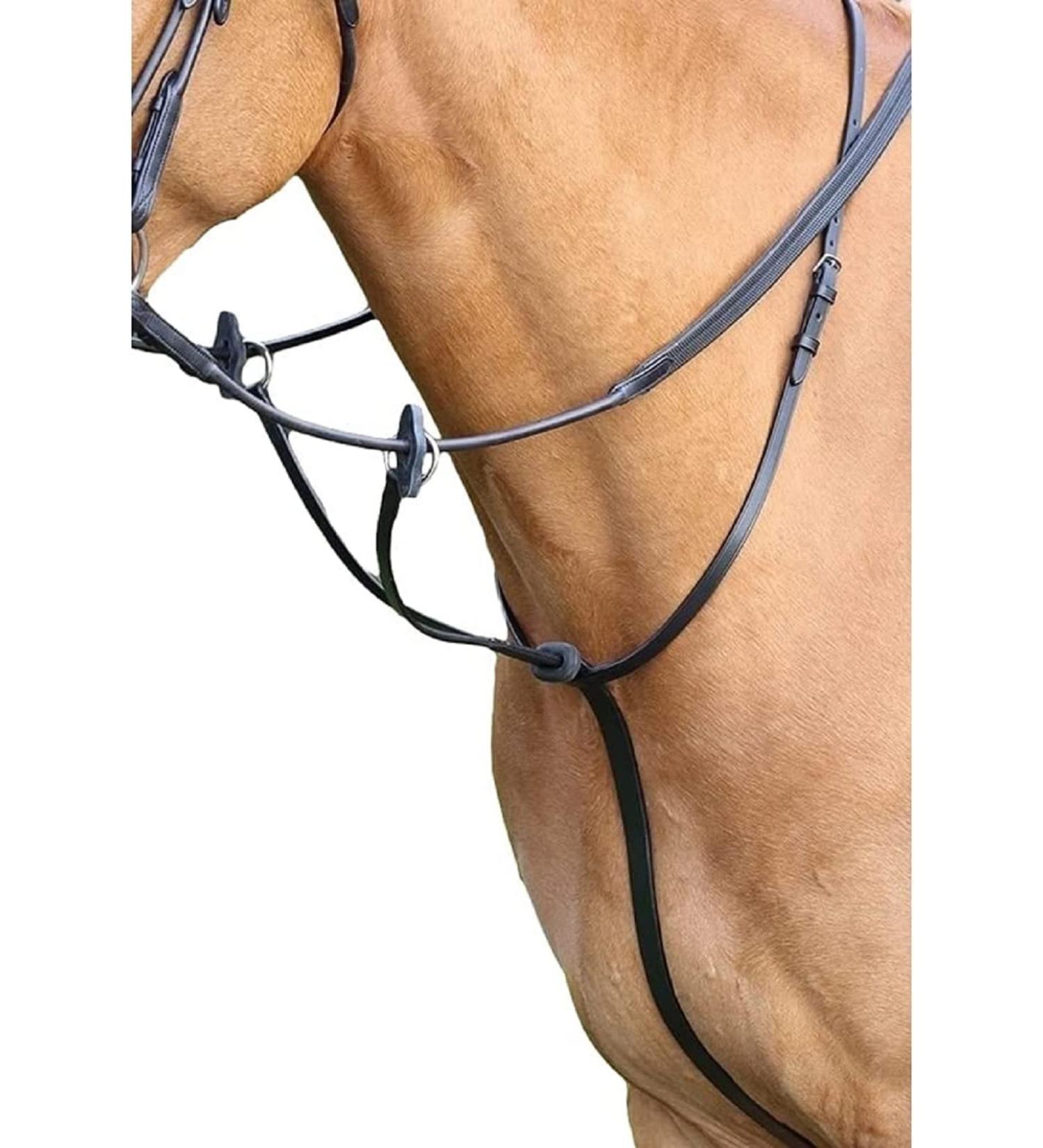 Shires Aviemore Running Martingale Choose Colour & Size Small Pony Havana - Buy Online on GoSupps.com