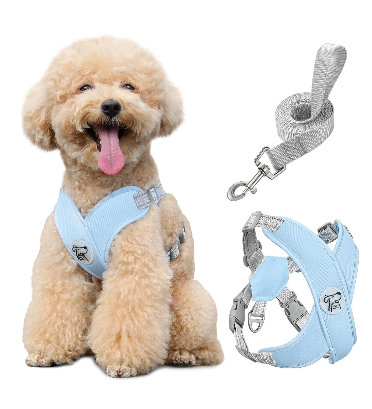 Pawaboo Dog Harness & Leash Set - Adjustable X-Frame Anti-Choke Vest for Small & Medium Dogs - Breathable Dog Apparel (M Blue) - Buy Online on GoSupps.com