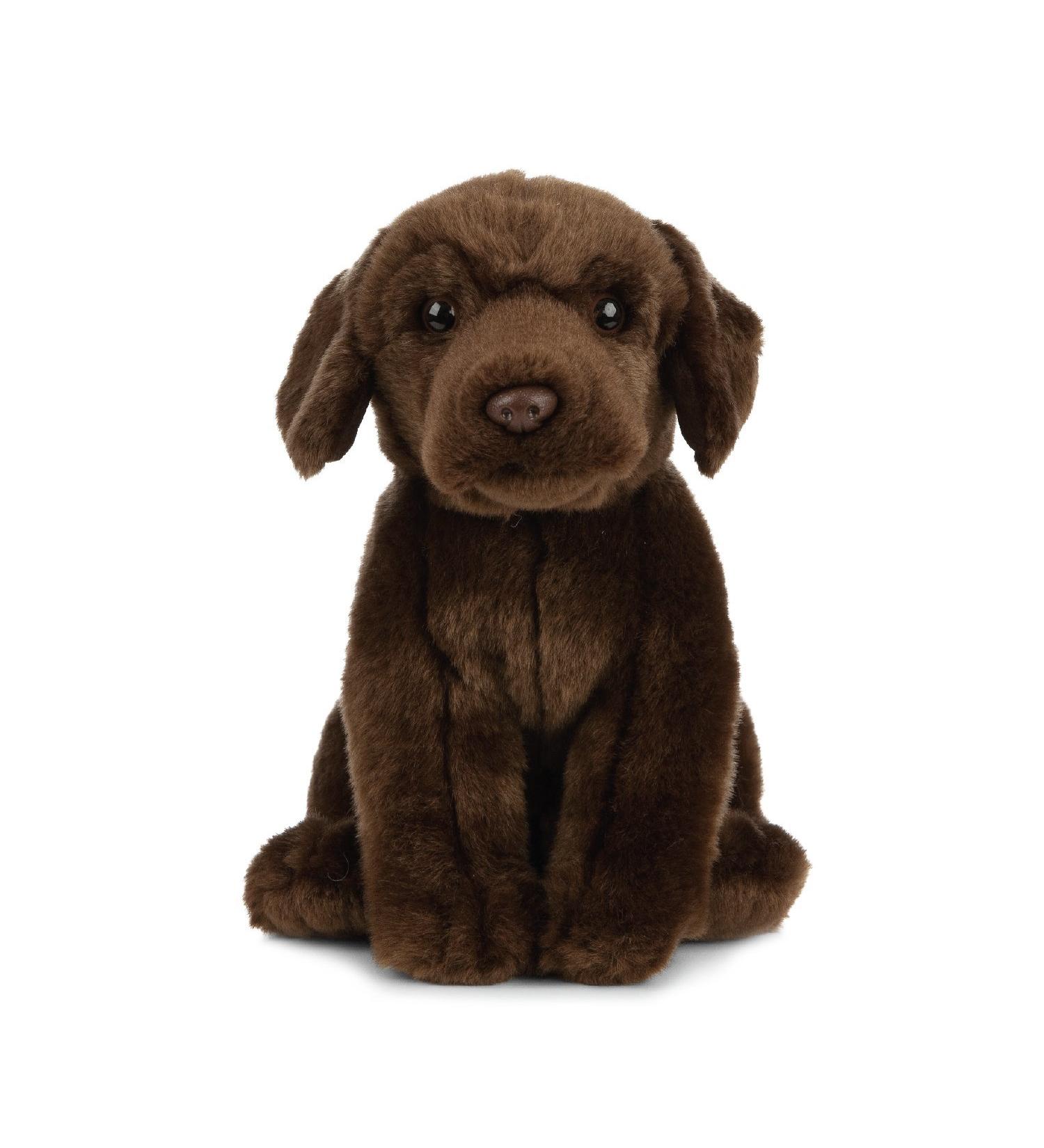 Living Nature 20cm Brown Chocolate Labrador Soft Toy - Realistic Stuffed Dog - Buy Online on GoSupps.com