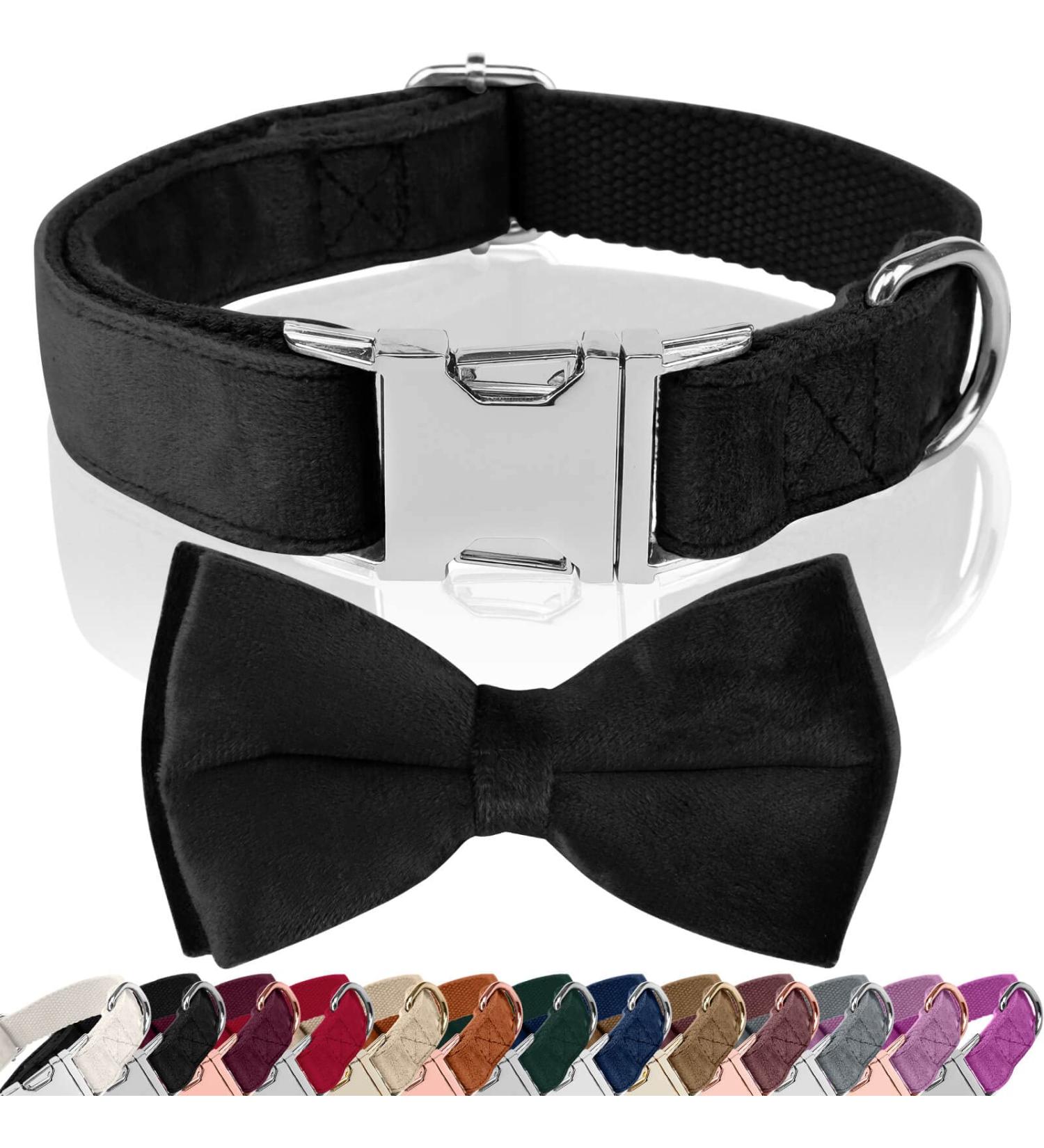 Shop Asvin Velvety Dog Collar - Soft Comfortable & Multi-Color Options for Weddings Birthdays & Parties - Removable Dog Flying | International Shipping - Buy Online on GoSupps.com