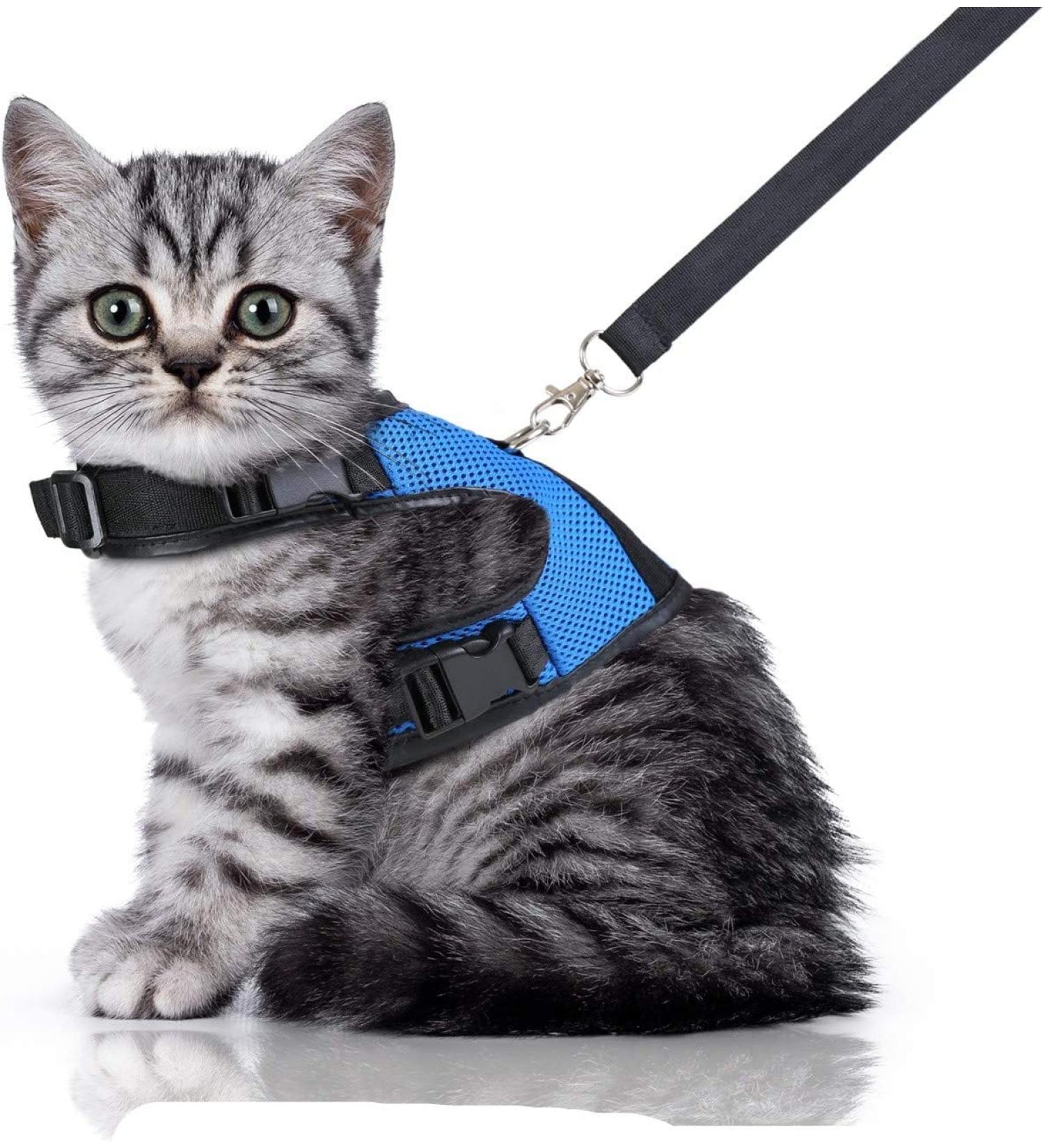 Bella & Balu Sustainable Cat Dishes with Leash | Soft Lining & Mesh | Perfect for Carefree Walking (S Blue) - Buy Online on GoSupps.com