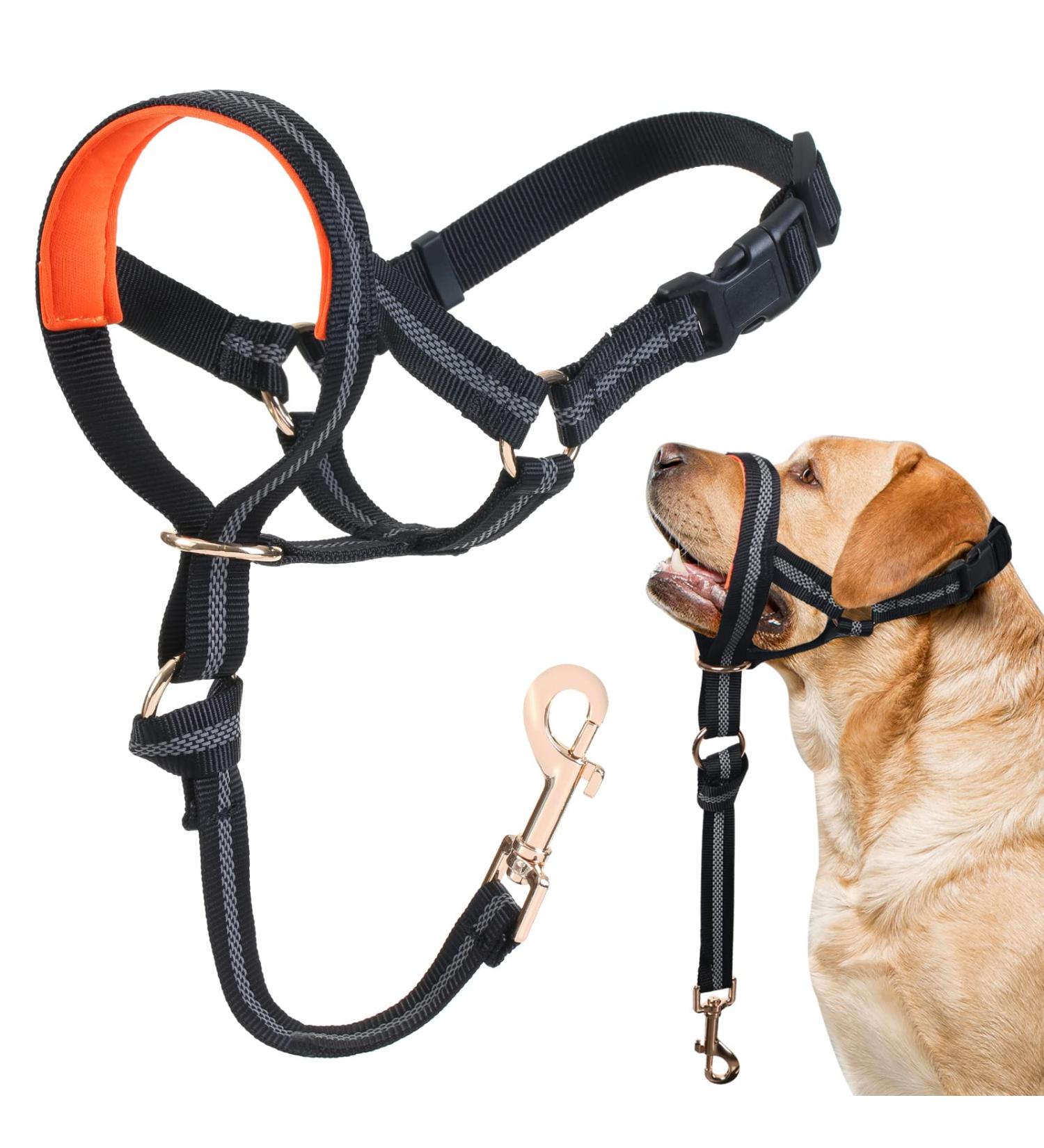 Premium No-Pull Dog Collar with Soft Upholstery - Durable Control for Heavy Pulling - Free Training Instructions Included - Size S Black - Buy Online on GoSupps.com