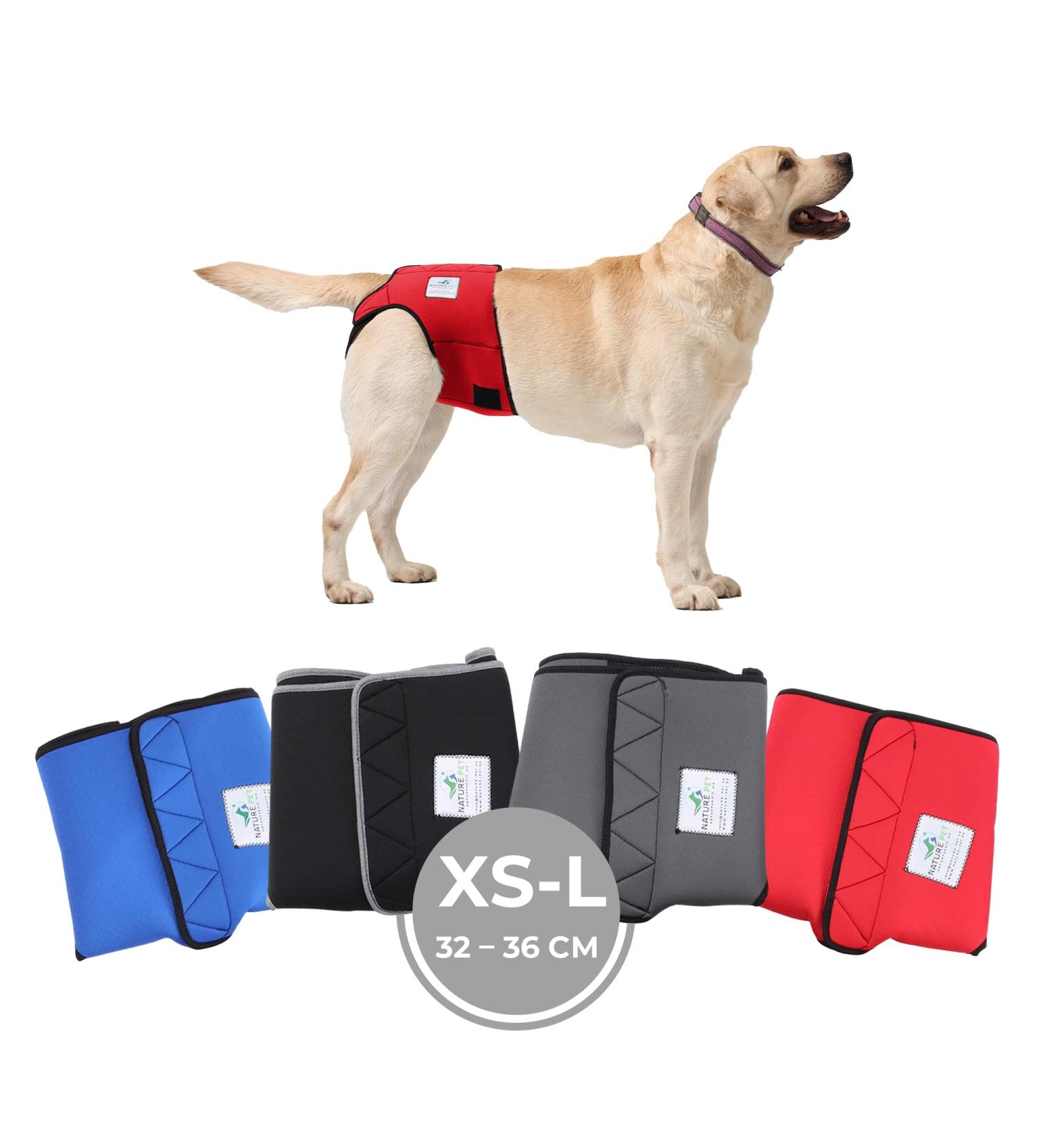 High-Quality Sailing Trousers for Dogs 2.0 | Premium Neoprene Diapers for Males (XS-L Red) - Optimal Air Exchange No Annoying Threading - Buy Online on GoSupps.com