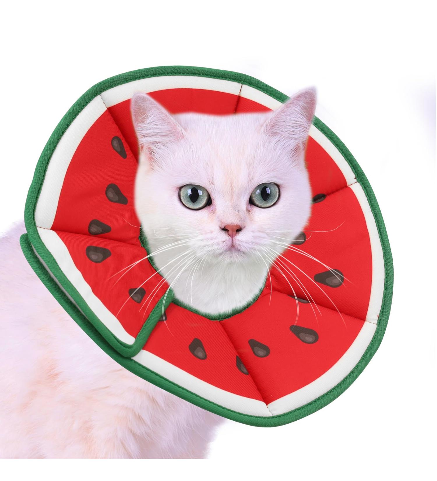 Supet Rewrise Cat Adjustable Recovery Collar - Watermelon Size S (14-23cm) - Post-Surgery & Injury Protection for Cats - Buy Online on GoSupps.com